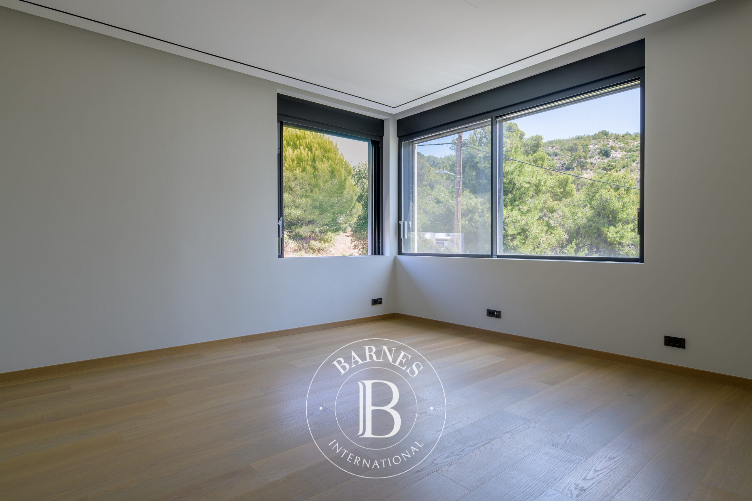 Ev Voula - picture 14