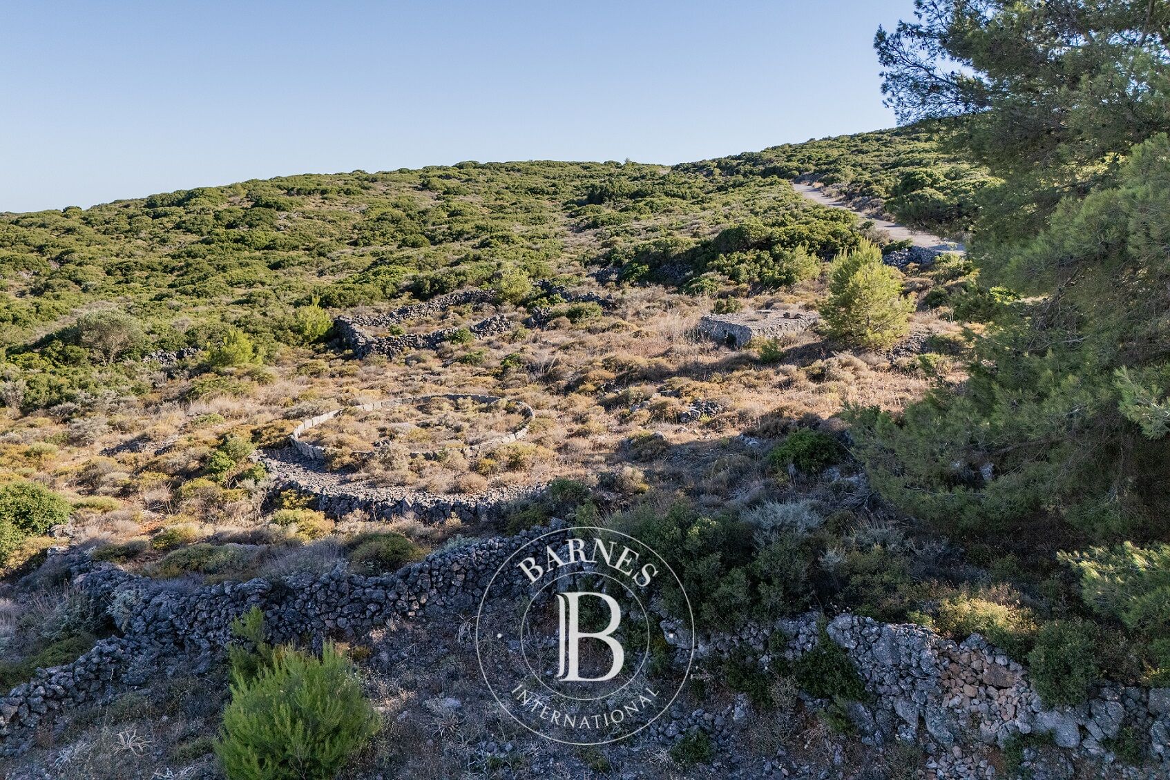 Terrain avec Permis de Construire Préliminaire - Île de Cythère - picture 2