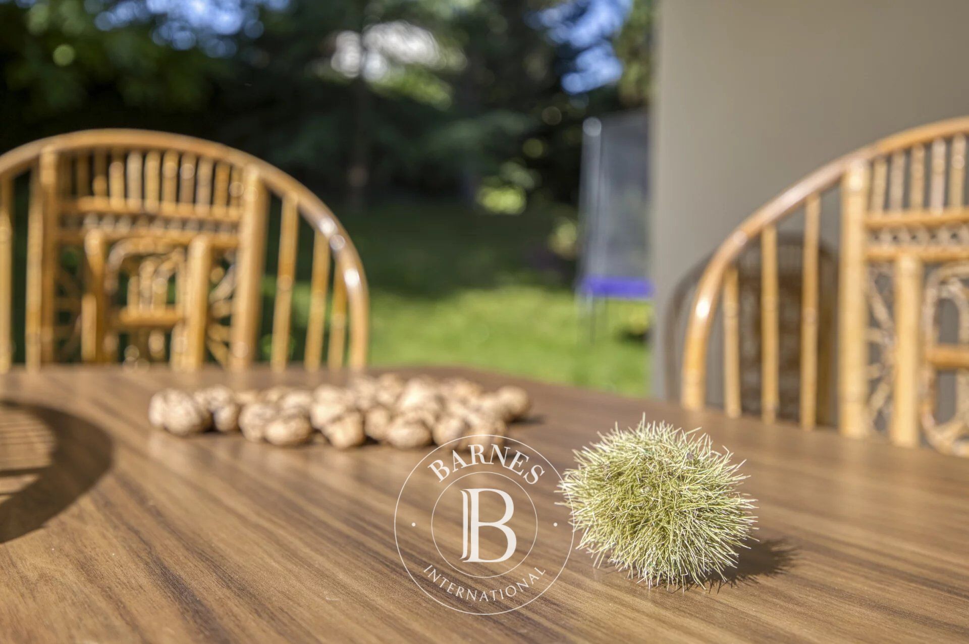 Daire Divonne-les-Bains - picture 6