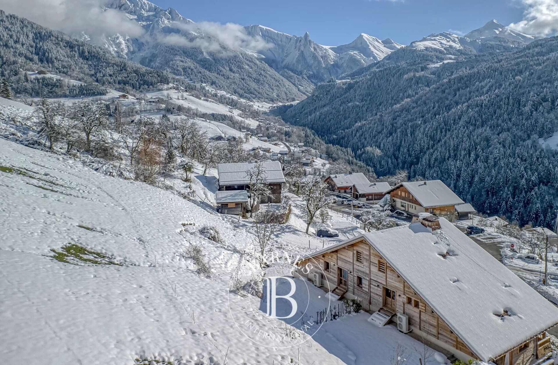 Chalet Manigod - picture 1