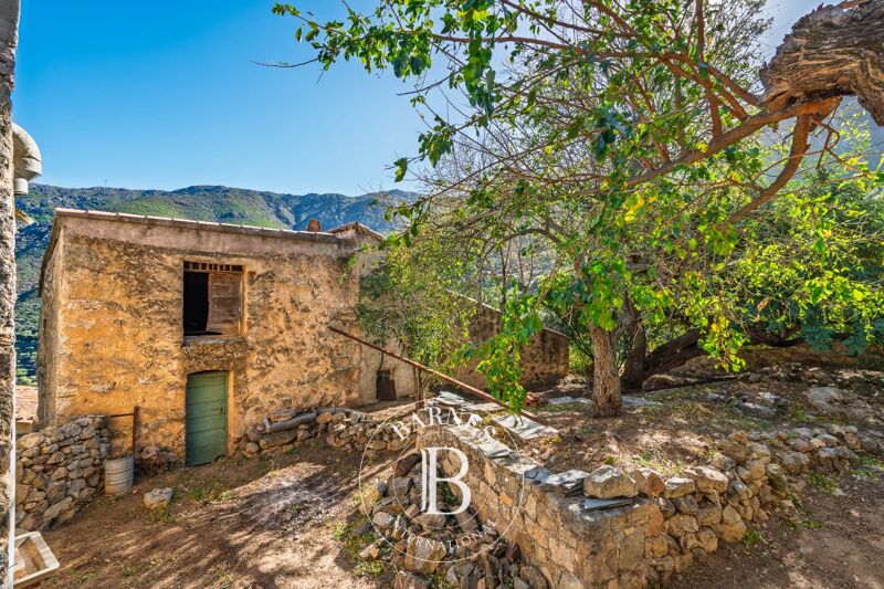 For Sale, Villa Occhiatana - picture 2