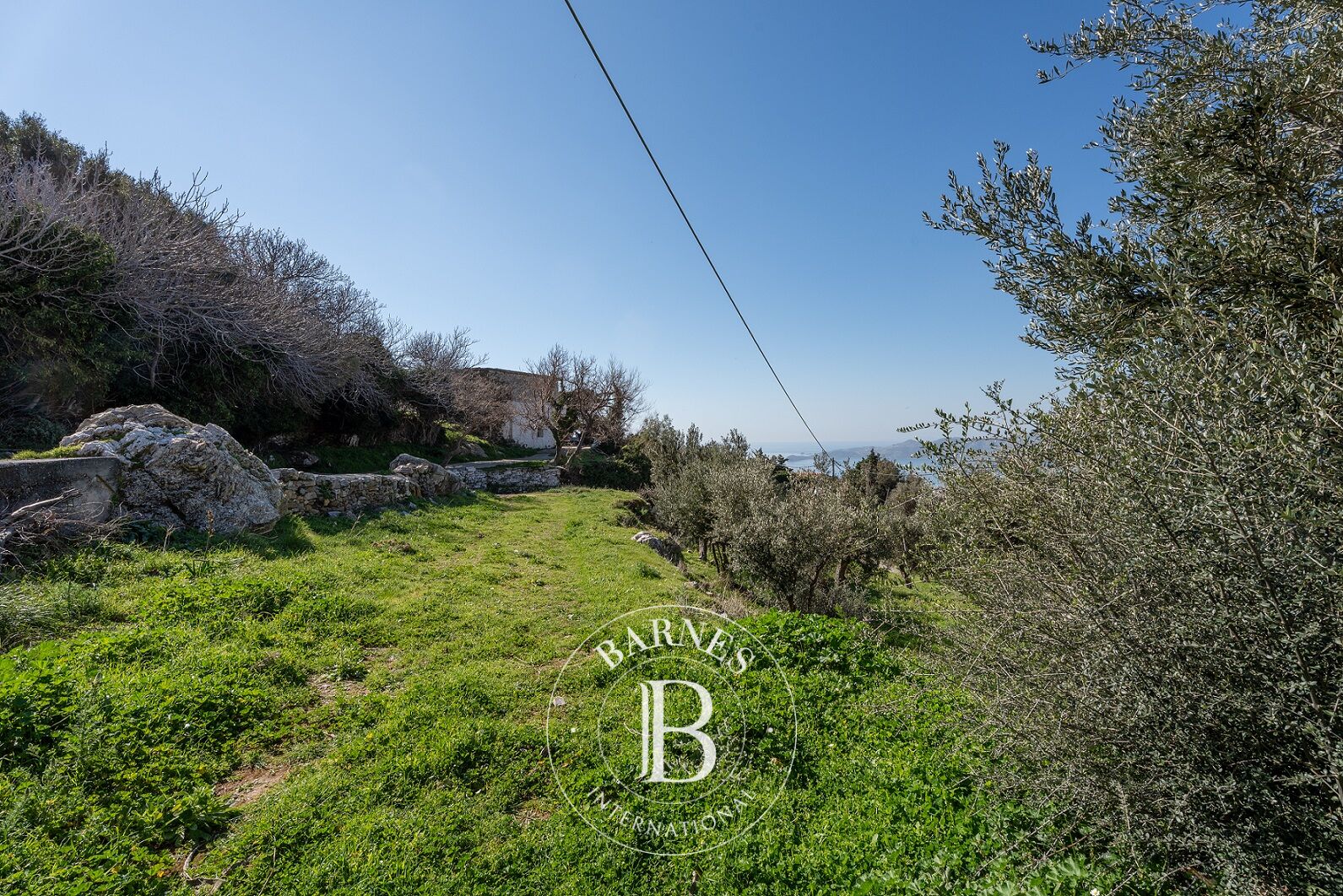 Bauland Evia - picture 3