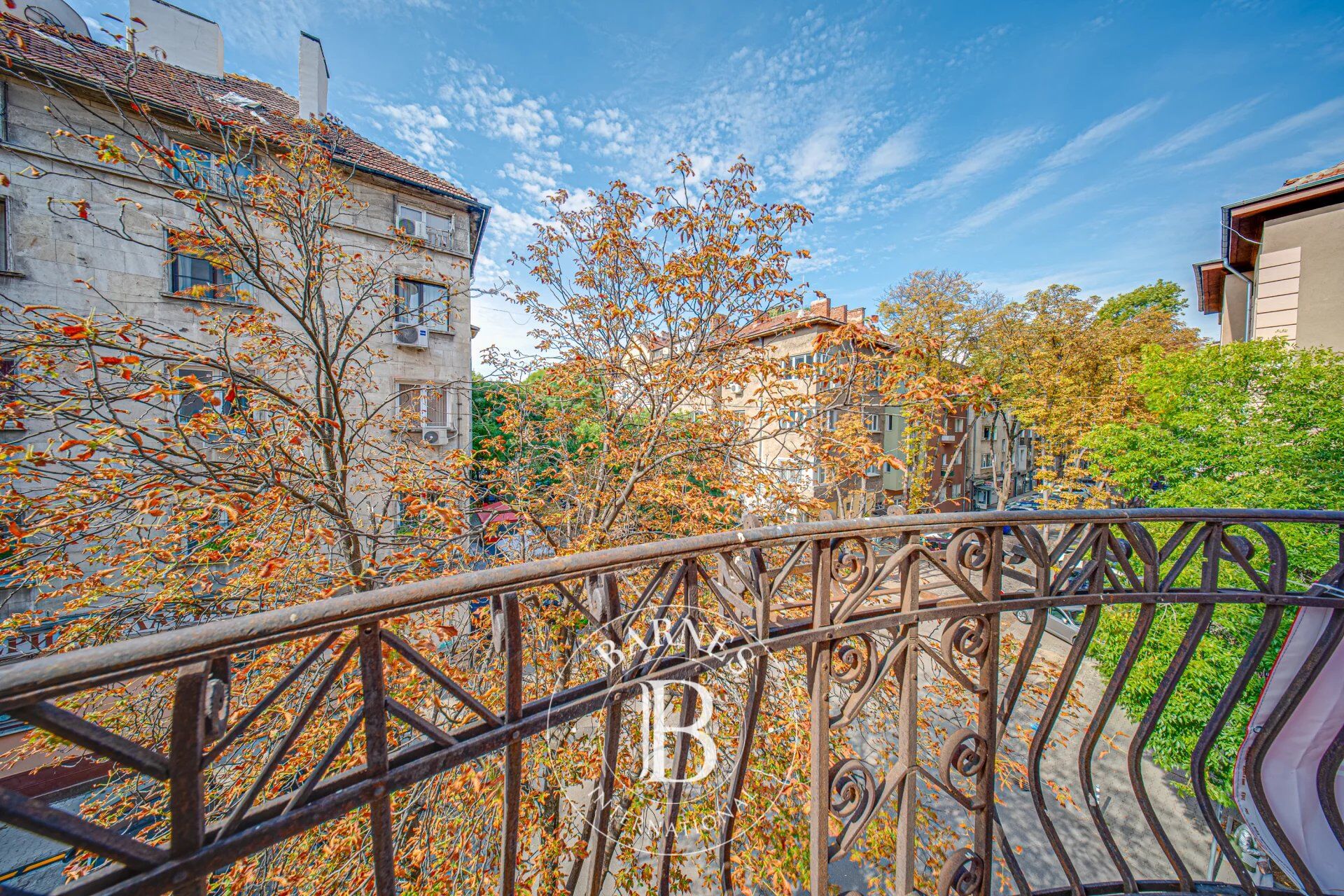 Daire Sofia - picture 24