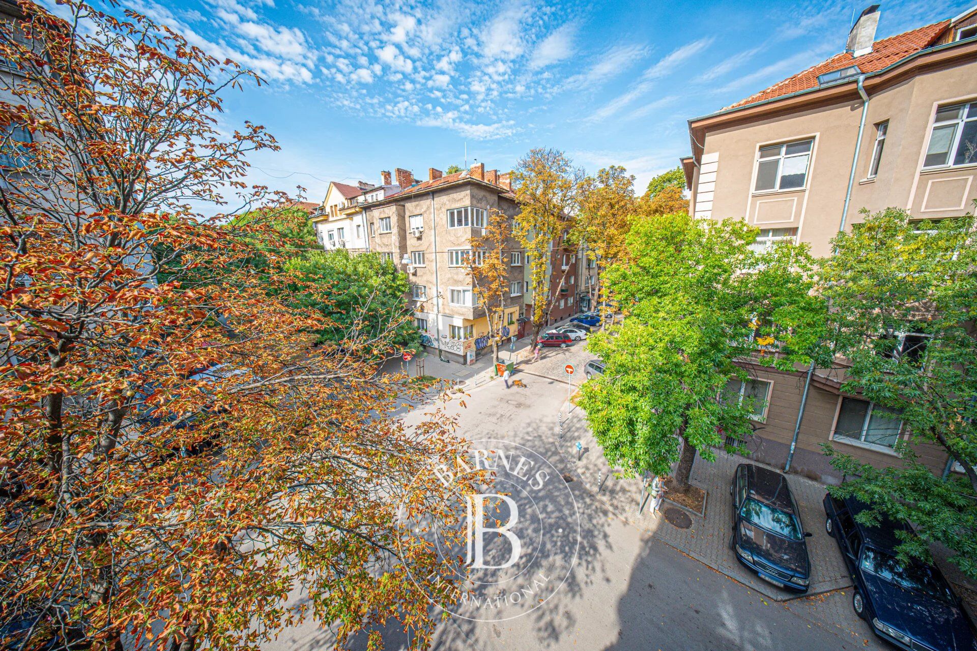 Daire Sofia - picture 21