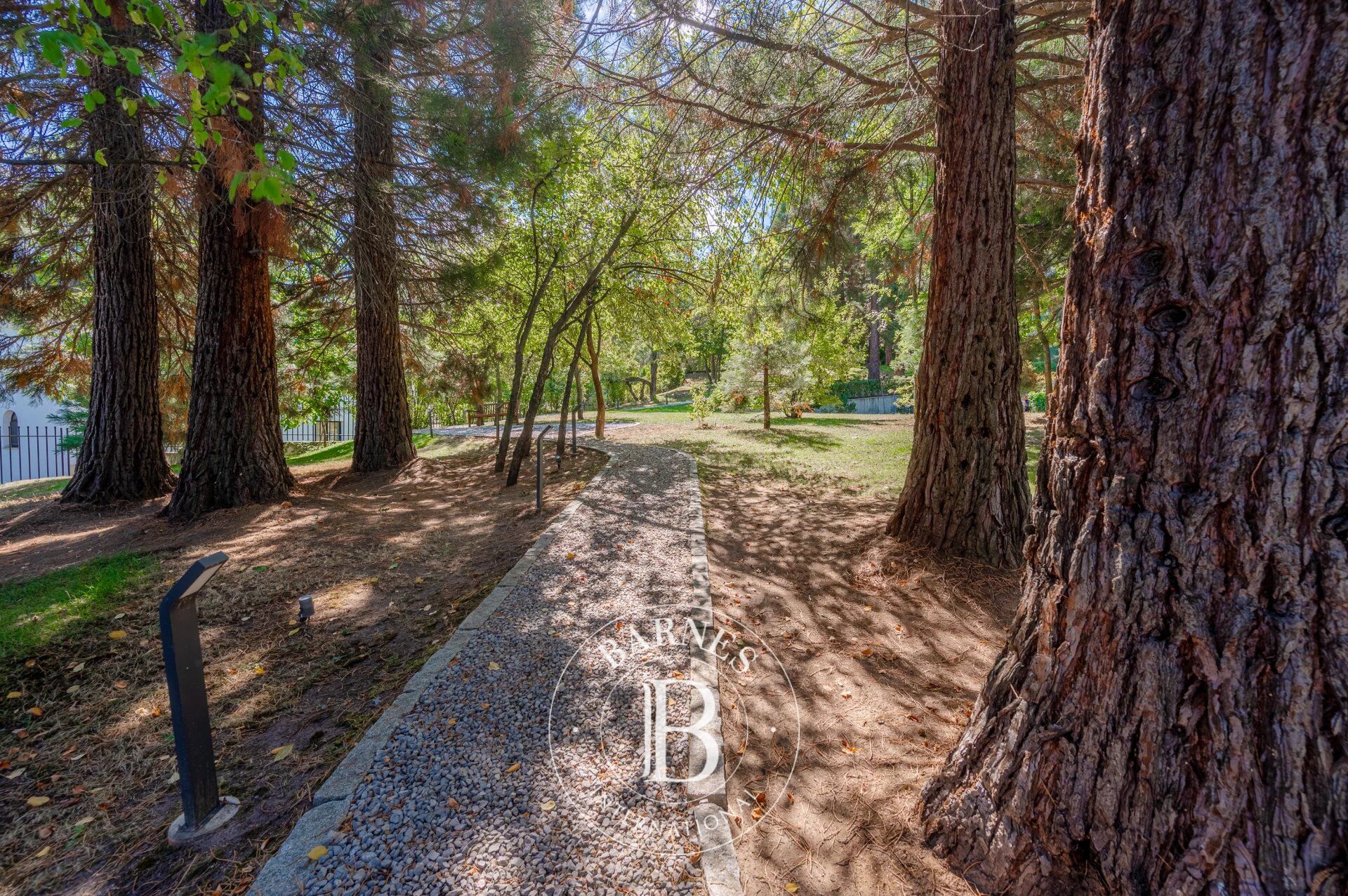 Daire Sofia - picture 14