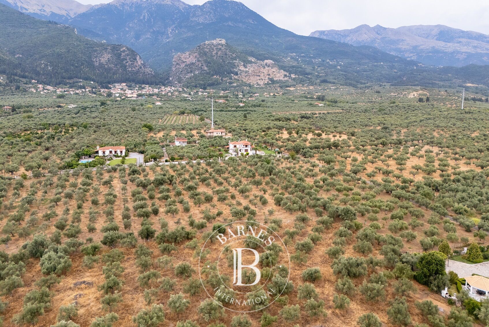 Terrain - Mystras, Laconie - picture 1