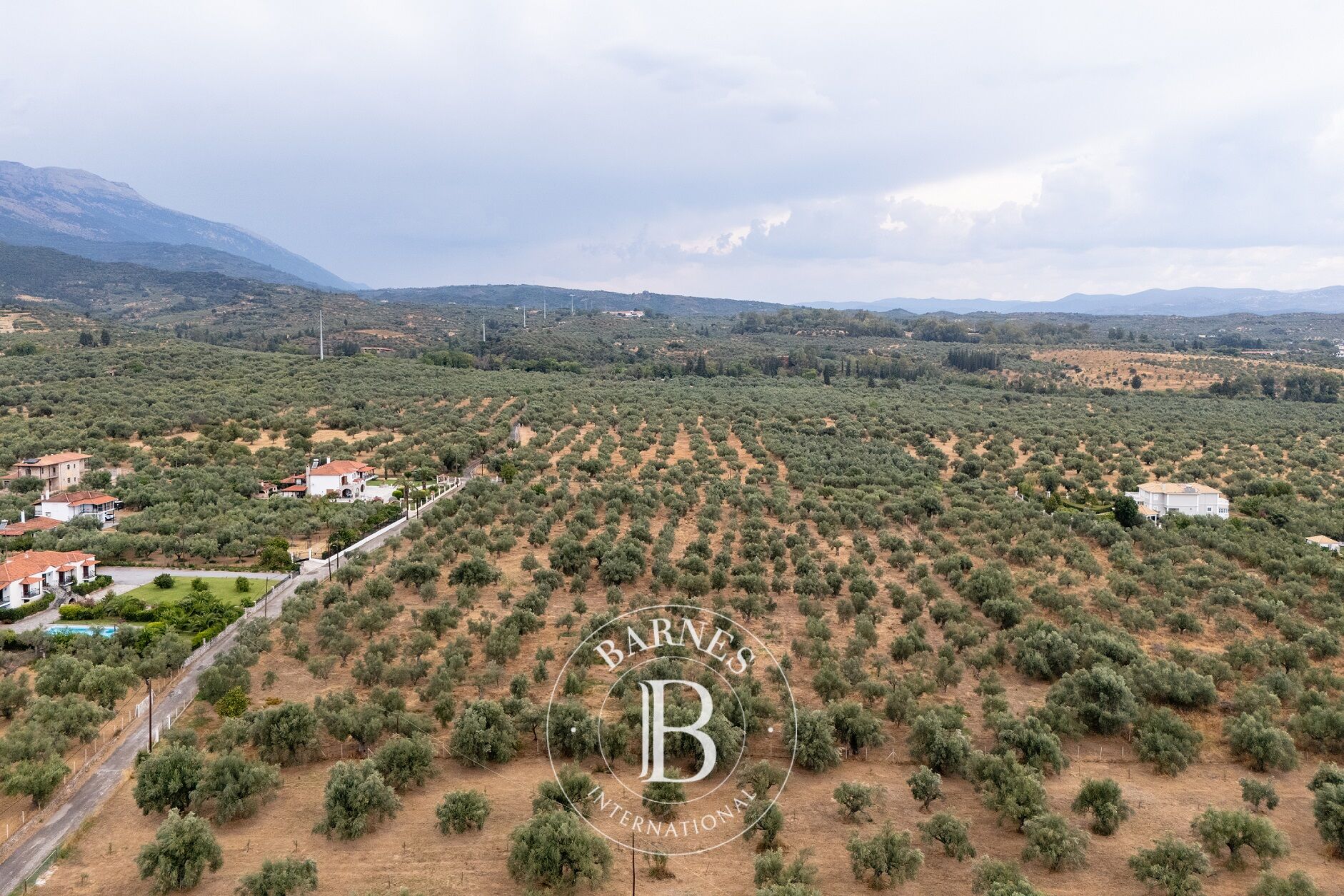 Terrain - Mystras, Laconie - picture 3