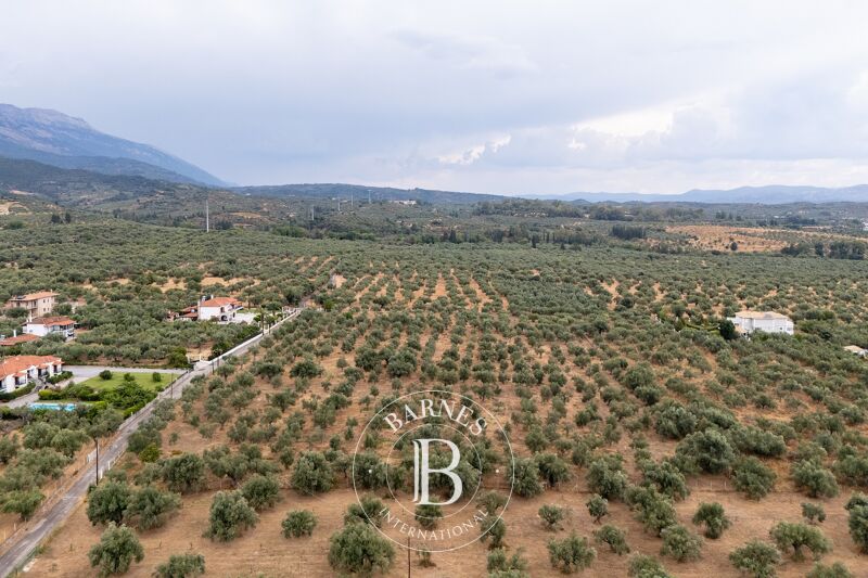 À vendre Terrain constructible | Laconia - picture 3