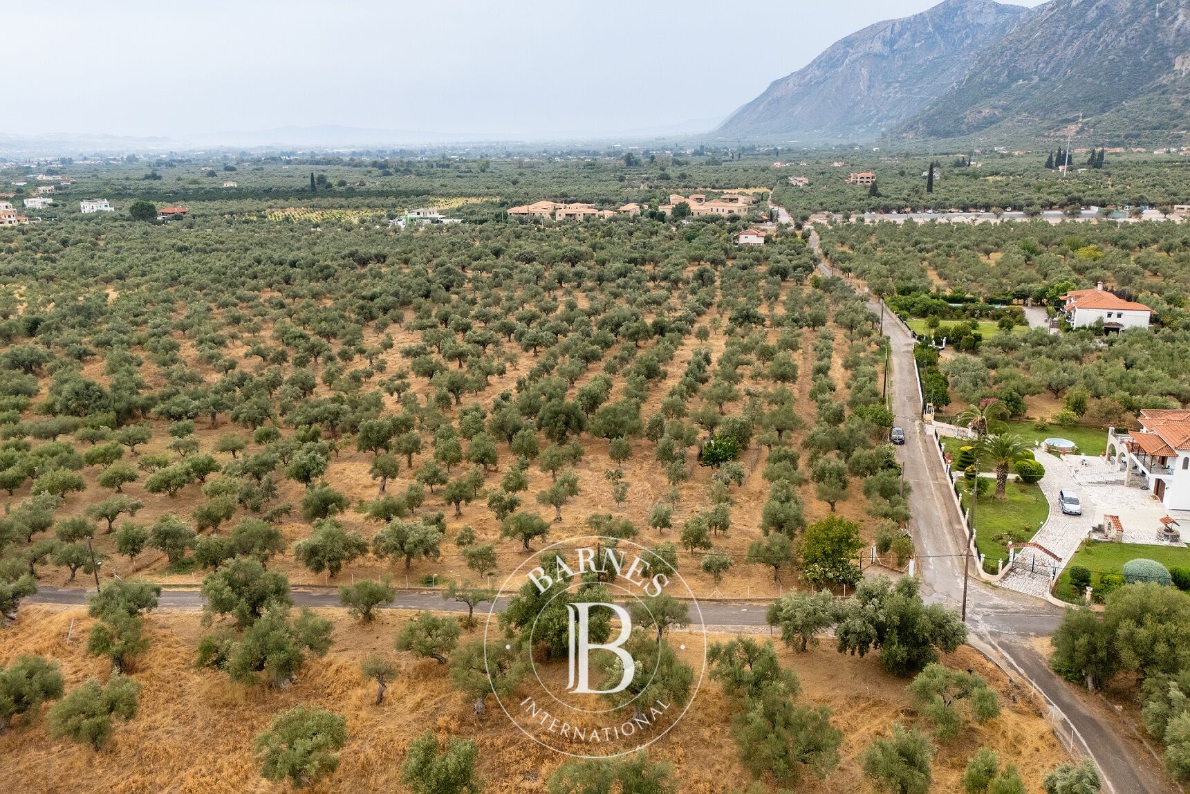 Terrain - Mystras, Laconie - picture 2