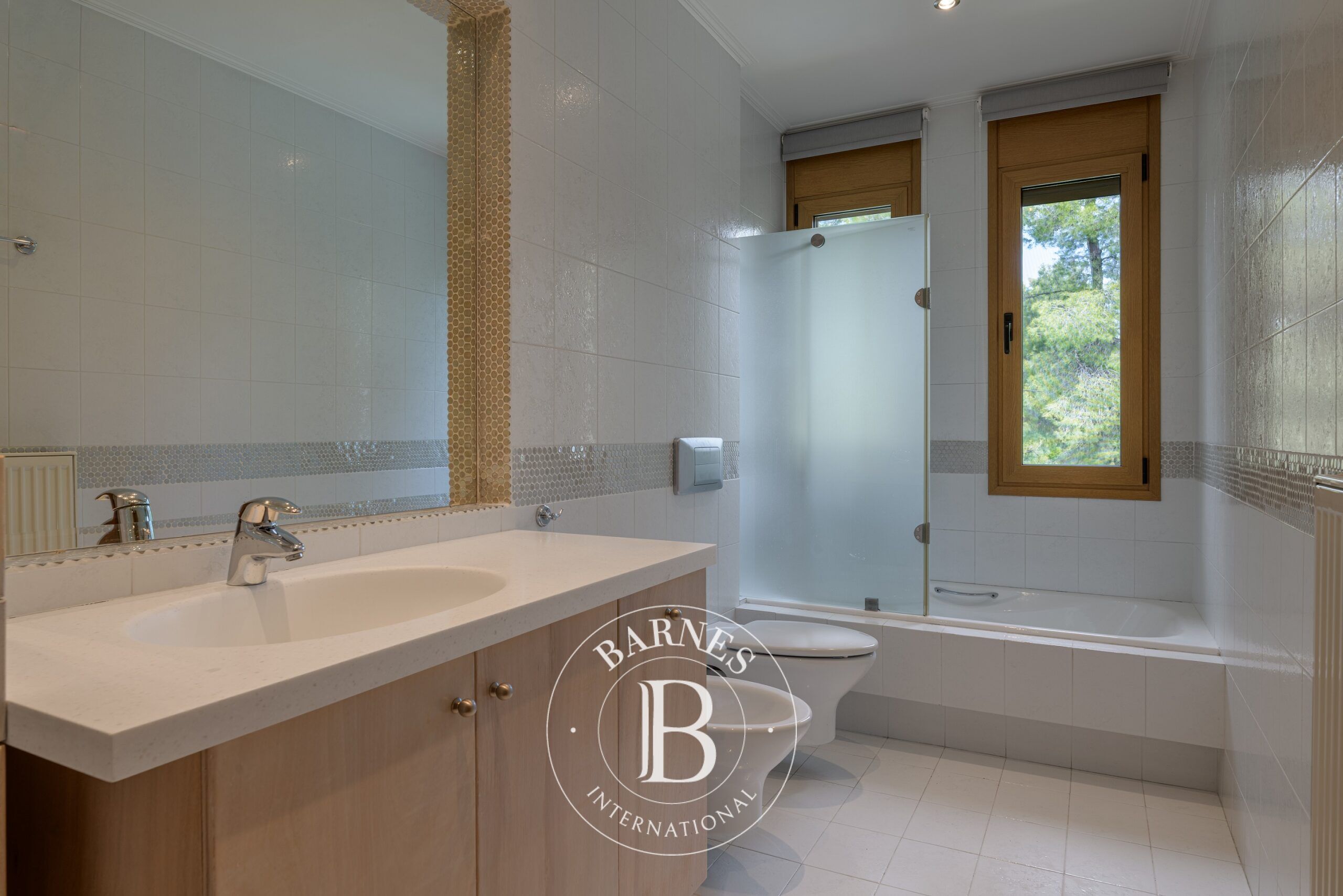 Ev Dionysos - picture 17