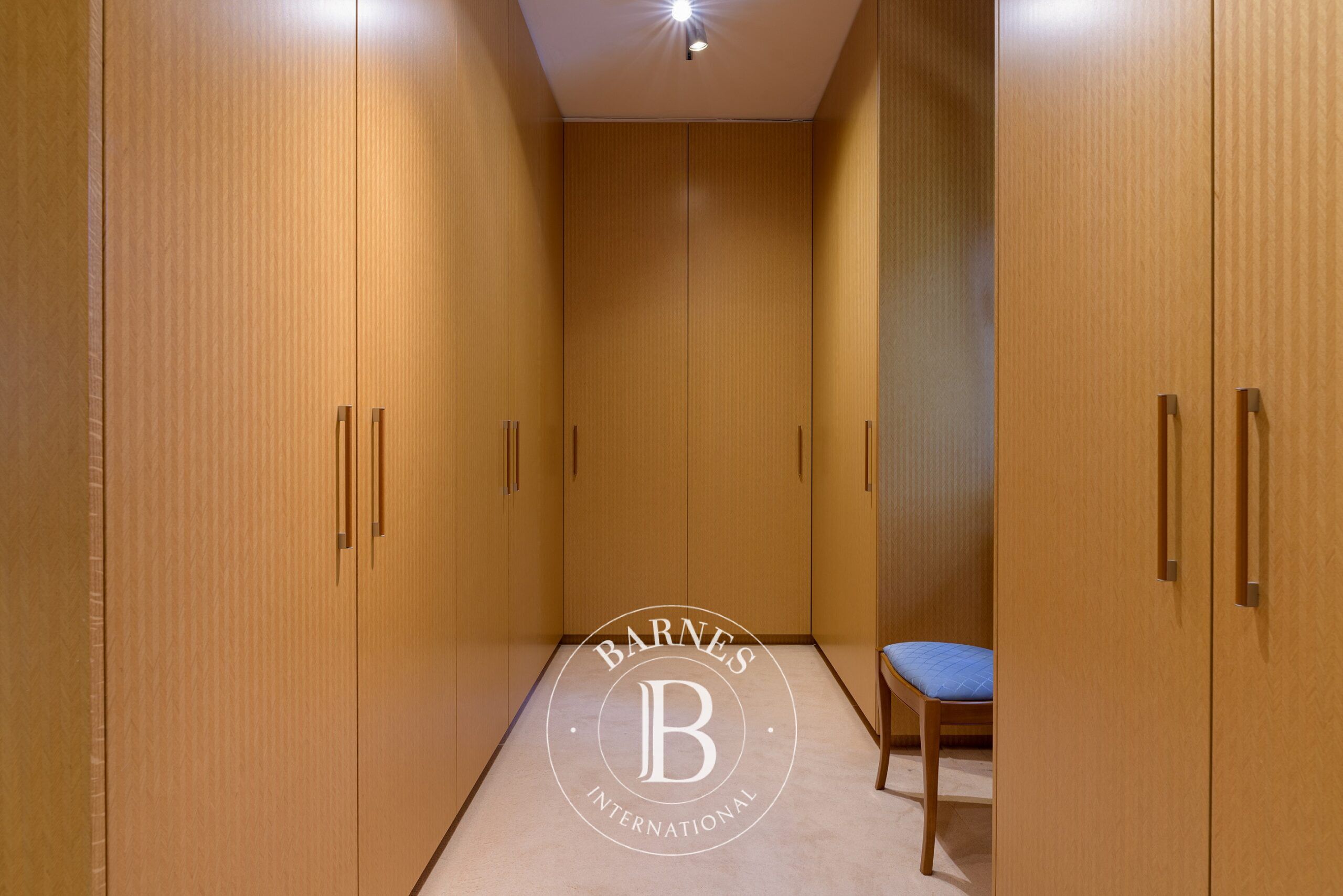 Ev Dionysos - picture 12