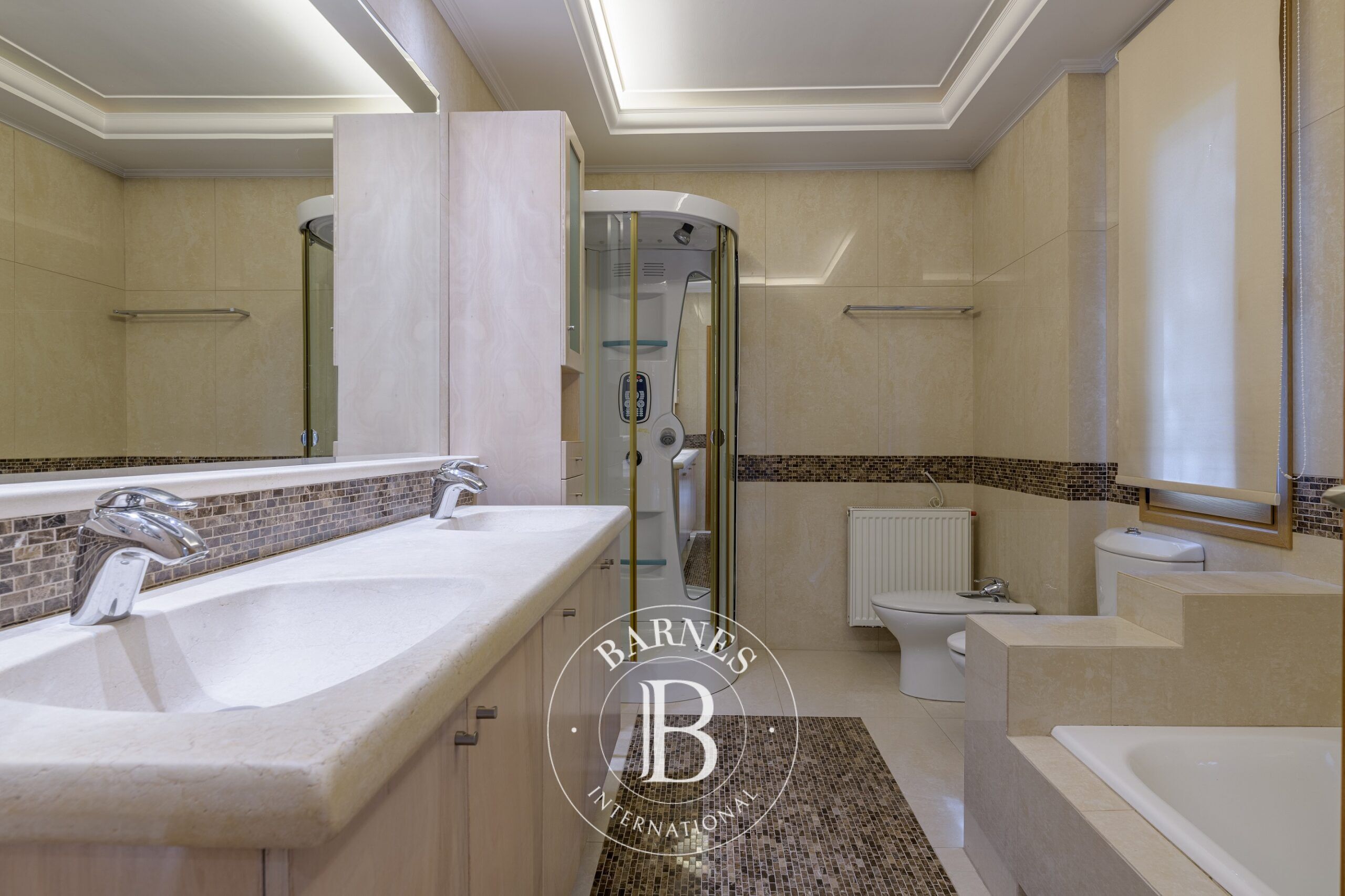 Ev Dionysos - picture 16