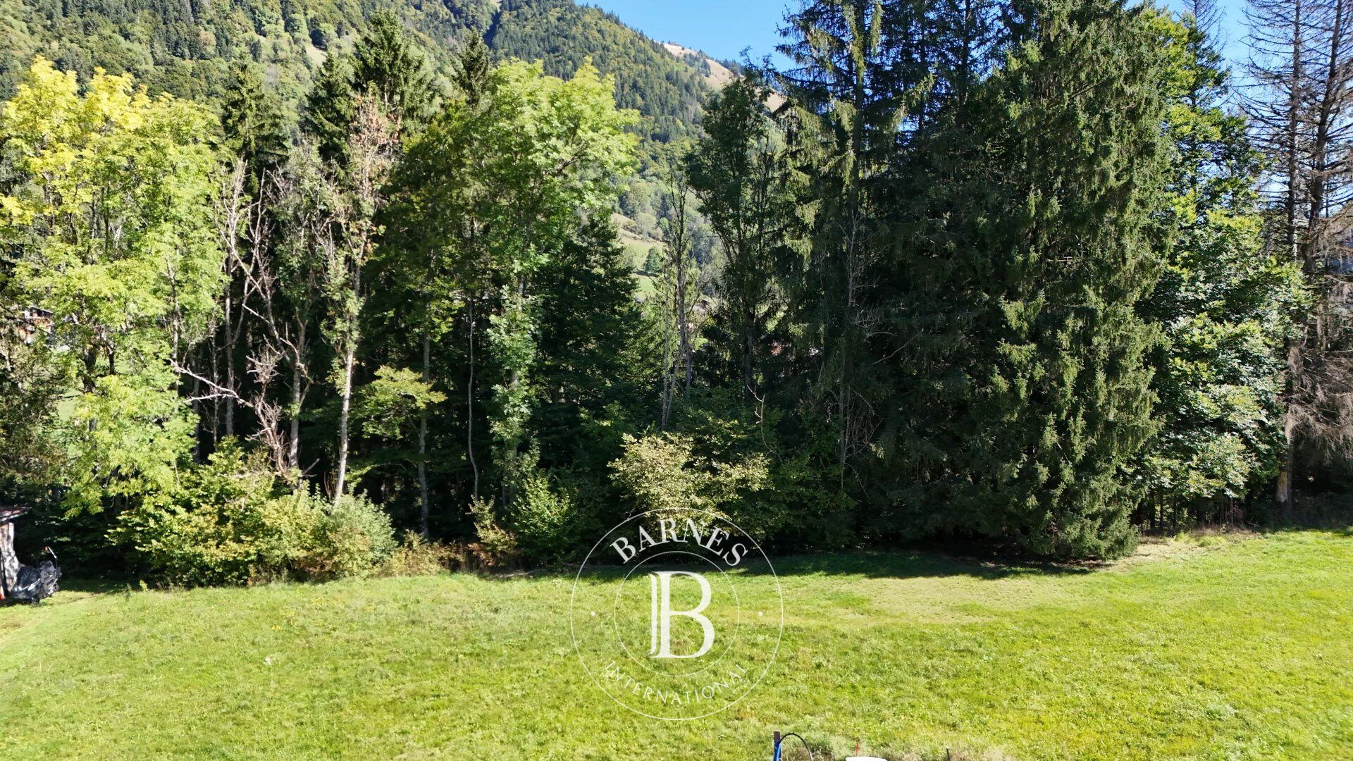 Dağ evi Montriond - picture 9