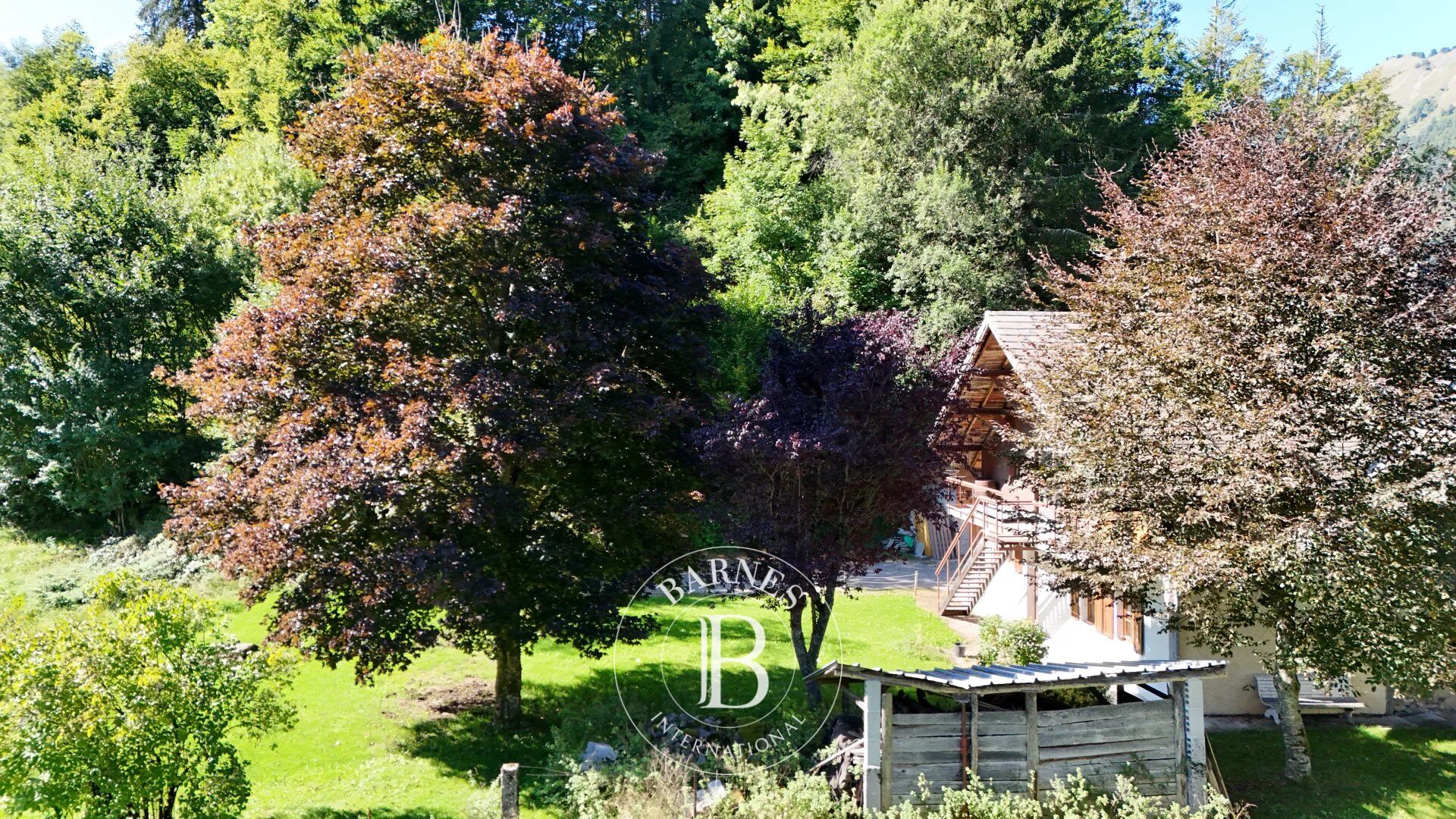 Dağ evi Montriond - picture 7