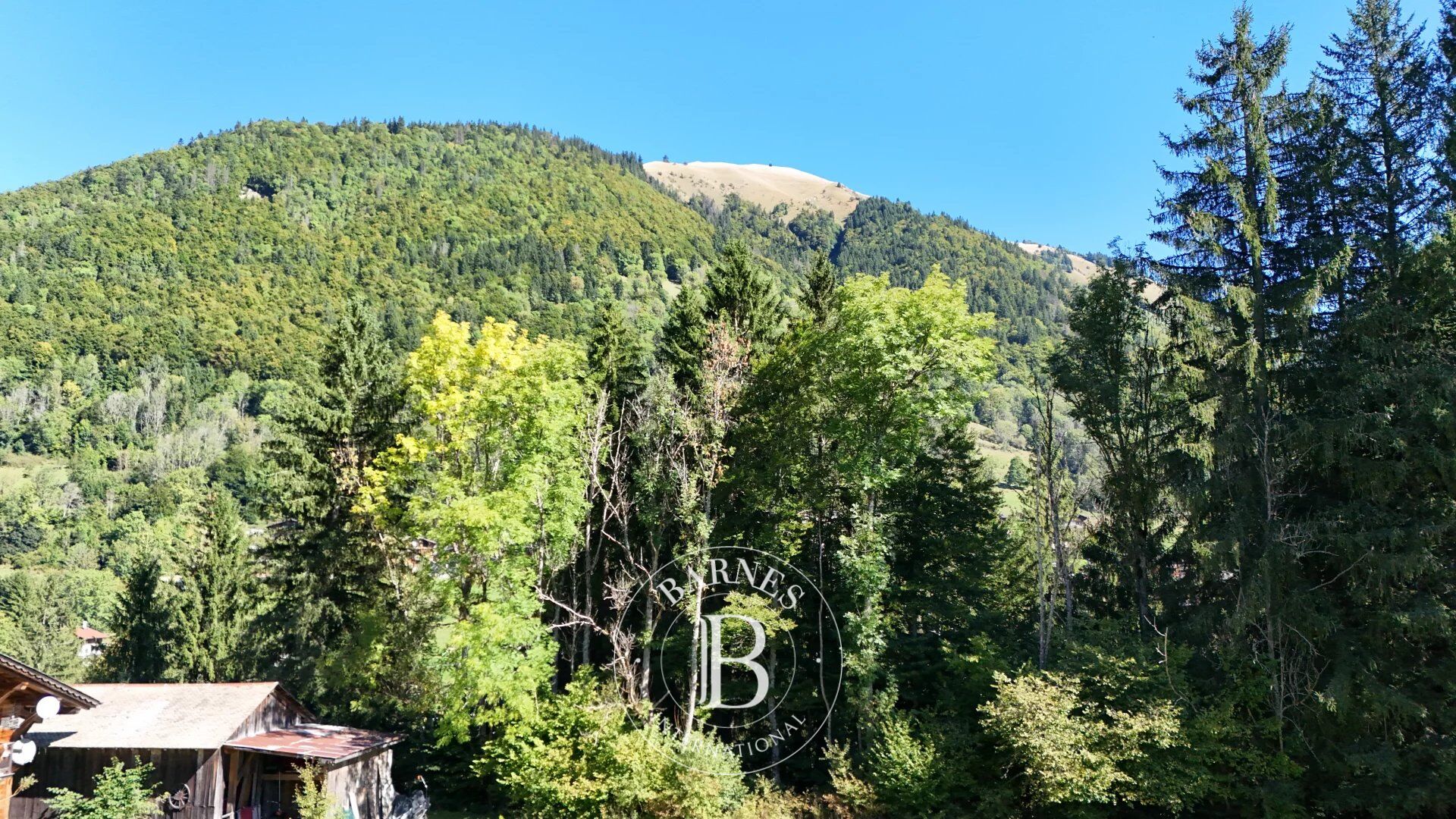 Dağ evi Montriond - picture 10