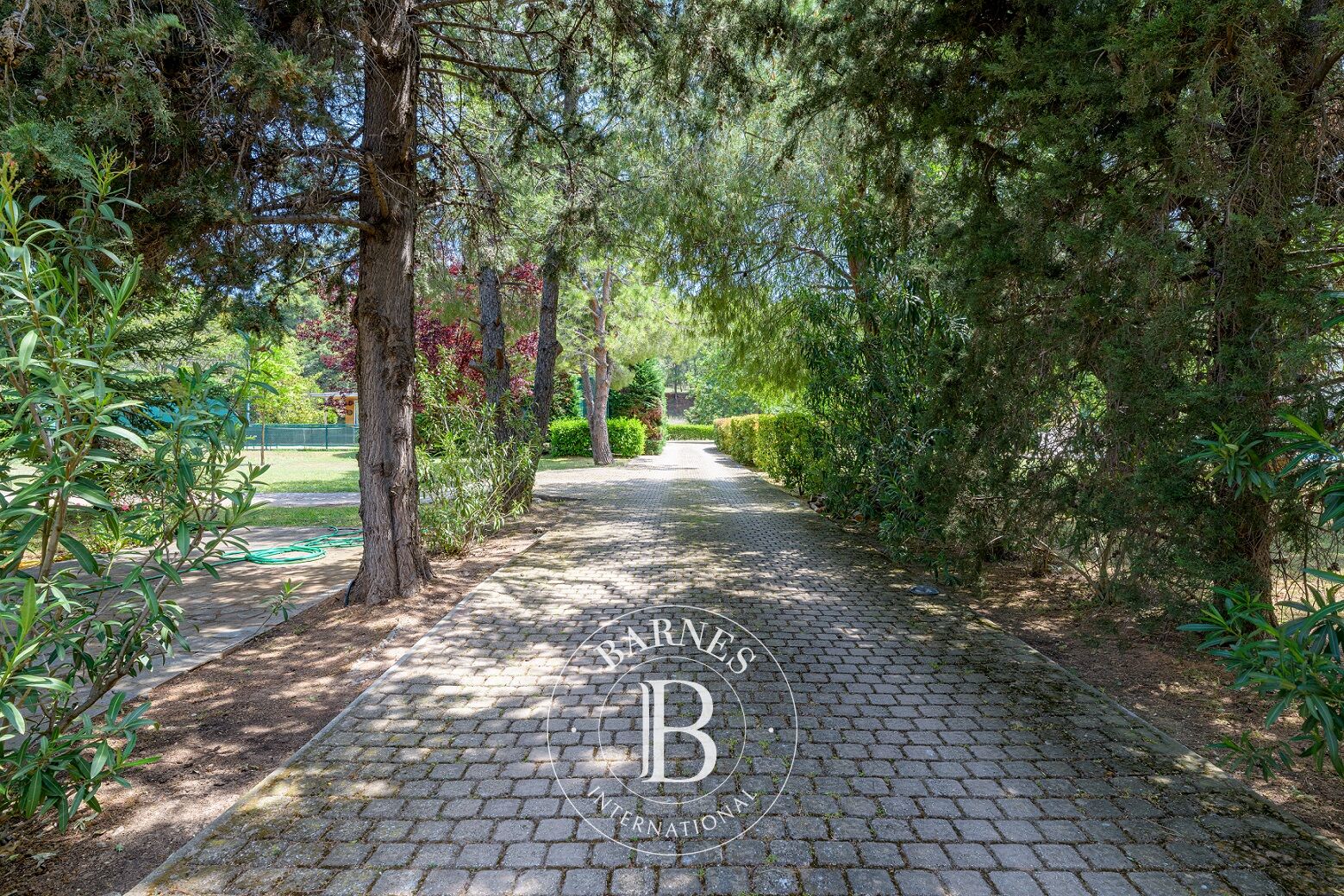 Ev Agios Stefanos - picture 28