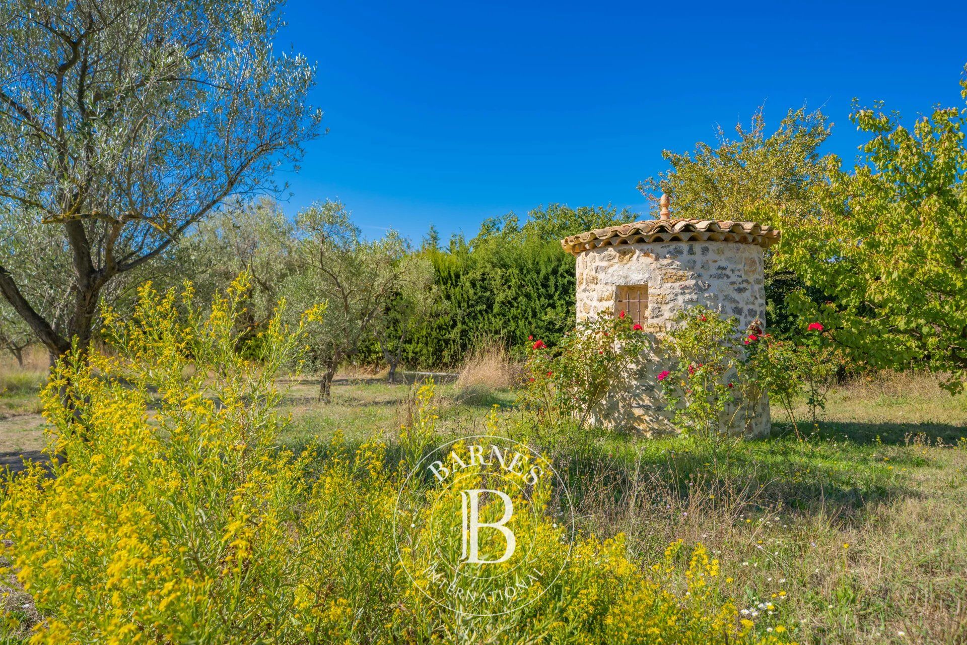 Ev Mougins - picture 17