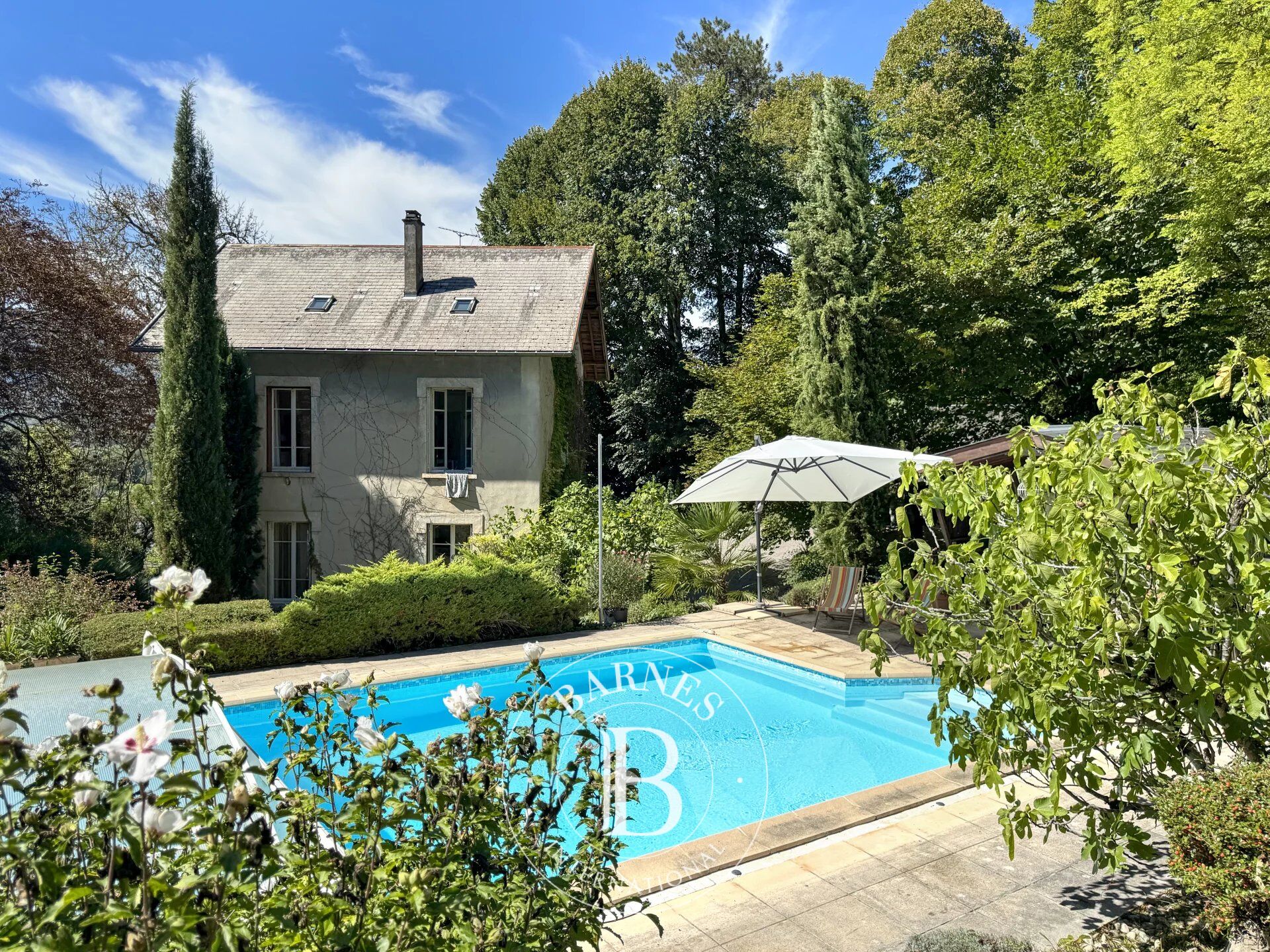 BARNES Aix-les-Bains – TALISSIEU – MASTER HOUSE – WOODED PARK & SWIMMING POOL - picture 1