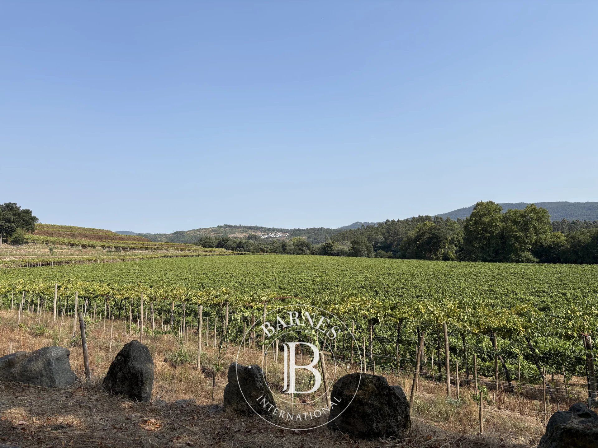 Sur les rives de la rivière Cávado - picture 3