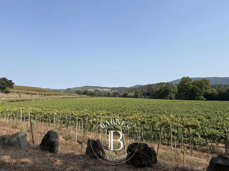 À vendre Ferme | Manhente - picture 3