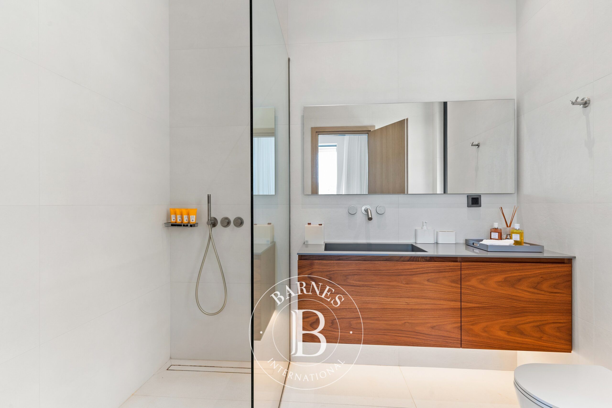 Ev Meganisi - picture 14