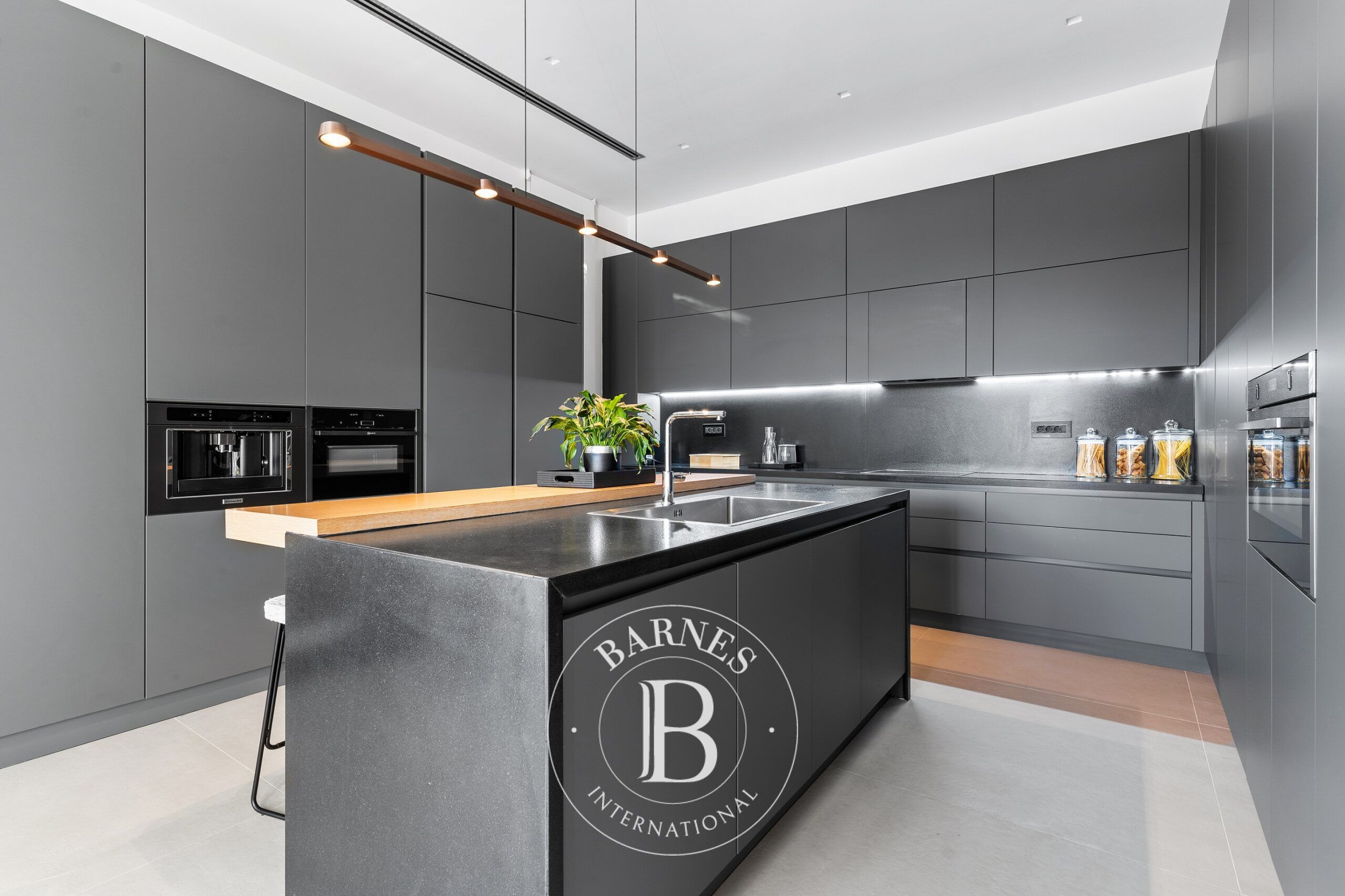 Ev Meganisi - picture 5