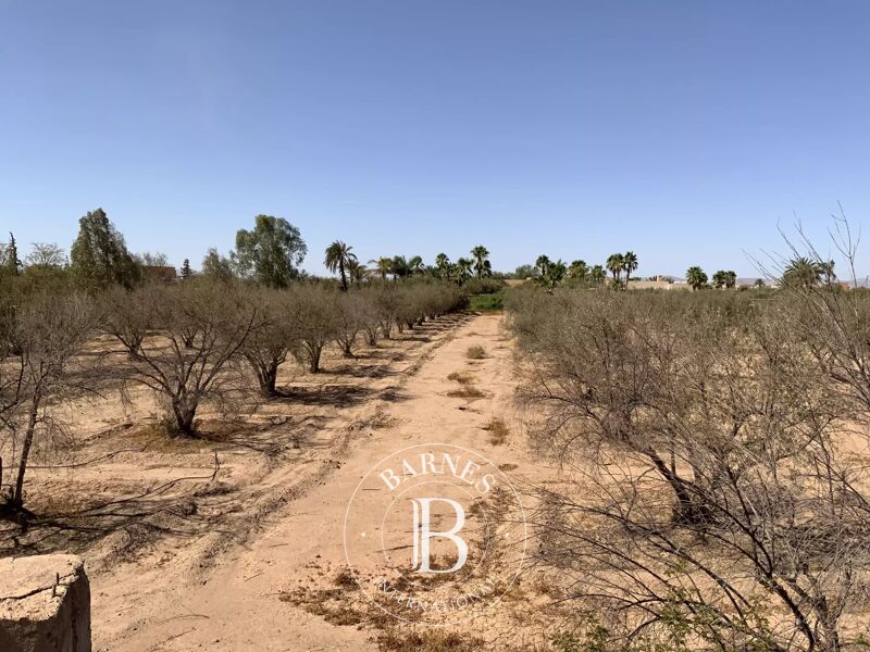 For Sale Building land | Marrakech - picture 1