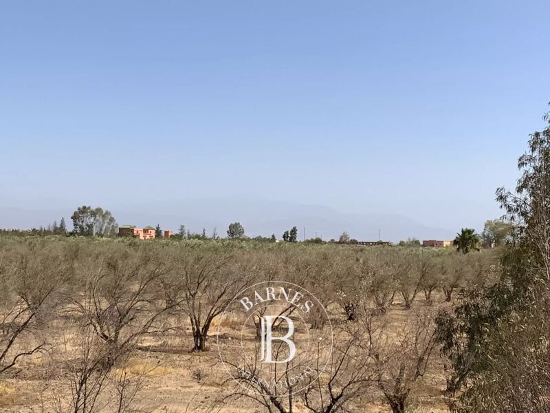 For Sale Building land | Marrakech - picture 2