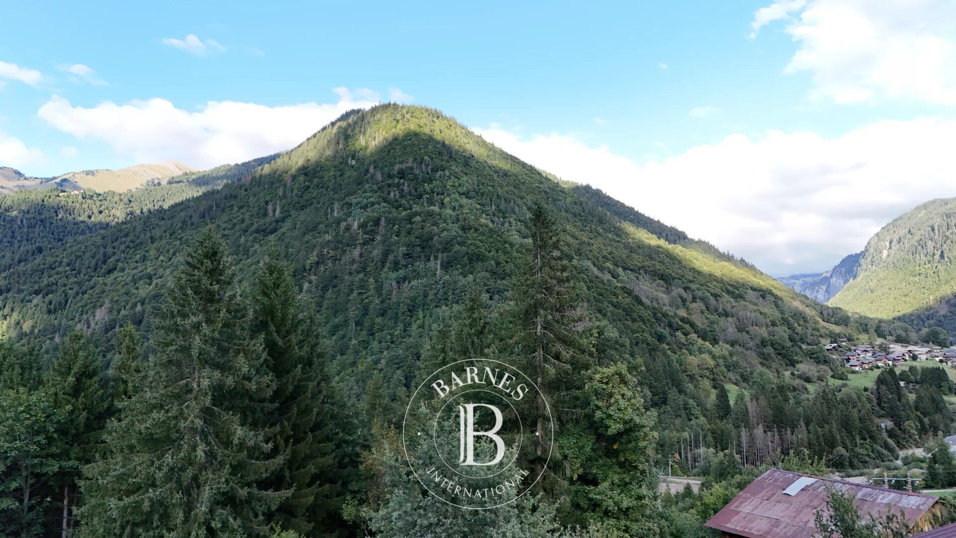 Dağ evi Essert-Romand - picture 21