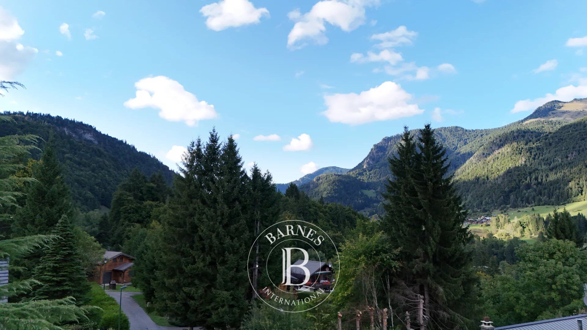 Dağ evi Essert-Romand - picture 20