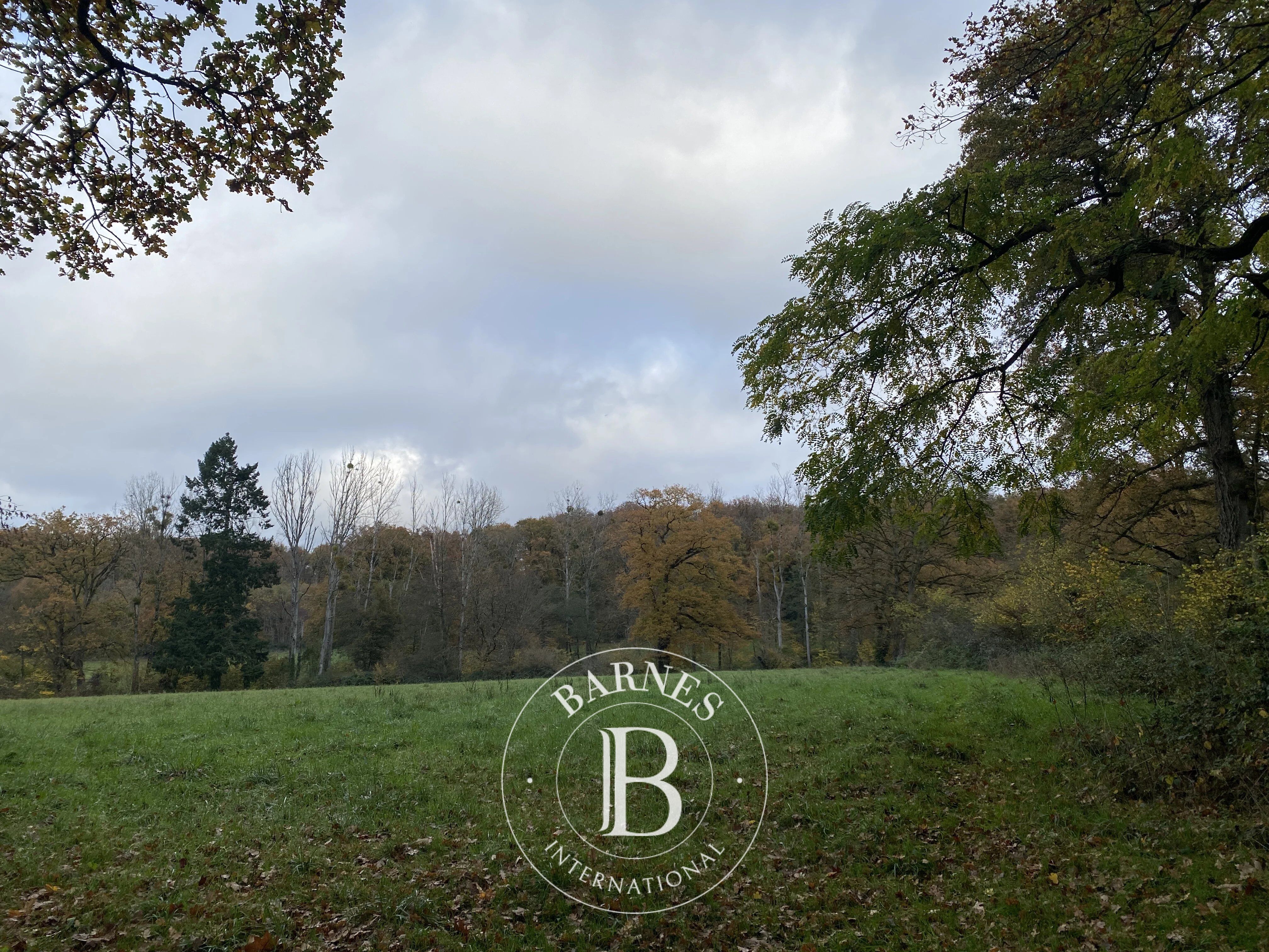 NEAR VENDÔME - 12th century abbey, 85 hectares of land - picture 3