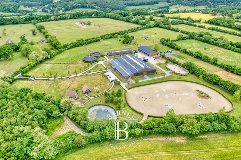 For Sale, Equestrian estate La Vespière-Friardel - picture 1