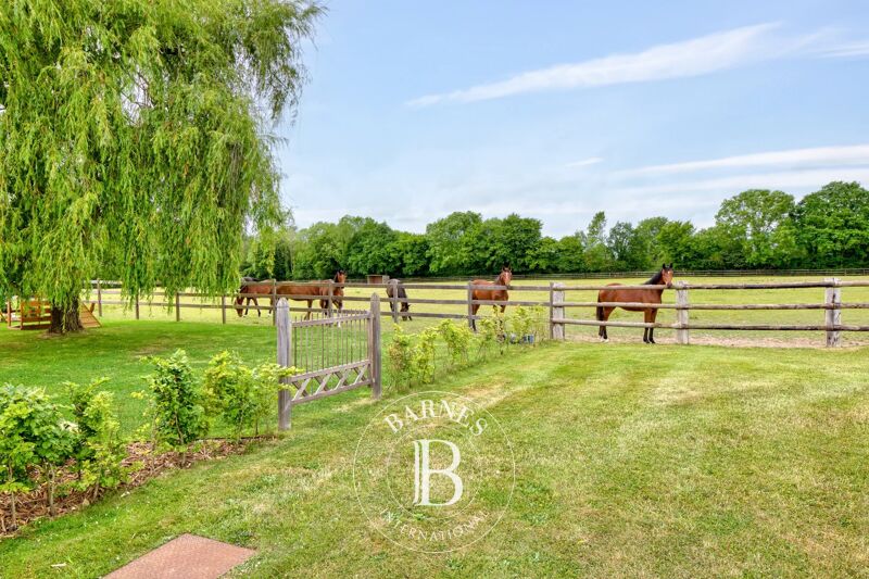 For Sale, Equestrian estate La Vespière-Friardel - picture 3