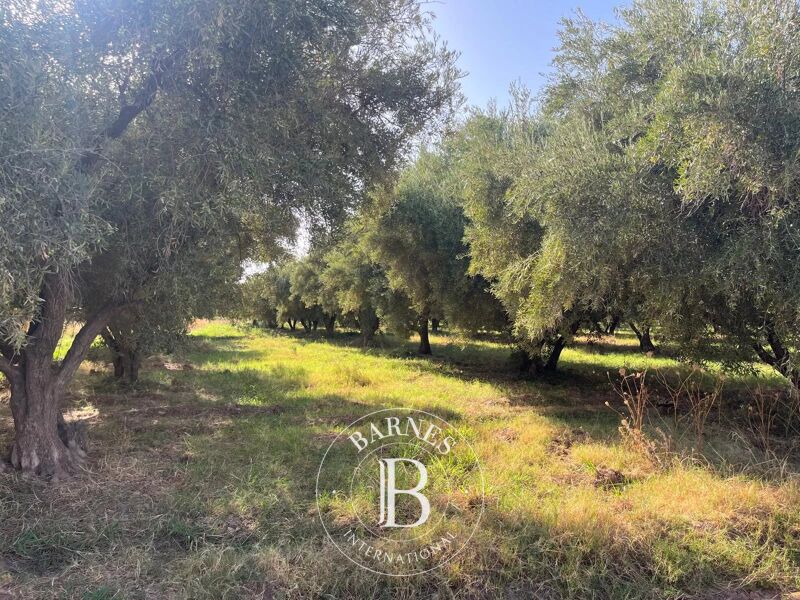 À vendre – Terrain exceptionnel de 1 hectare à Marrakech