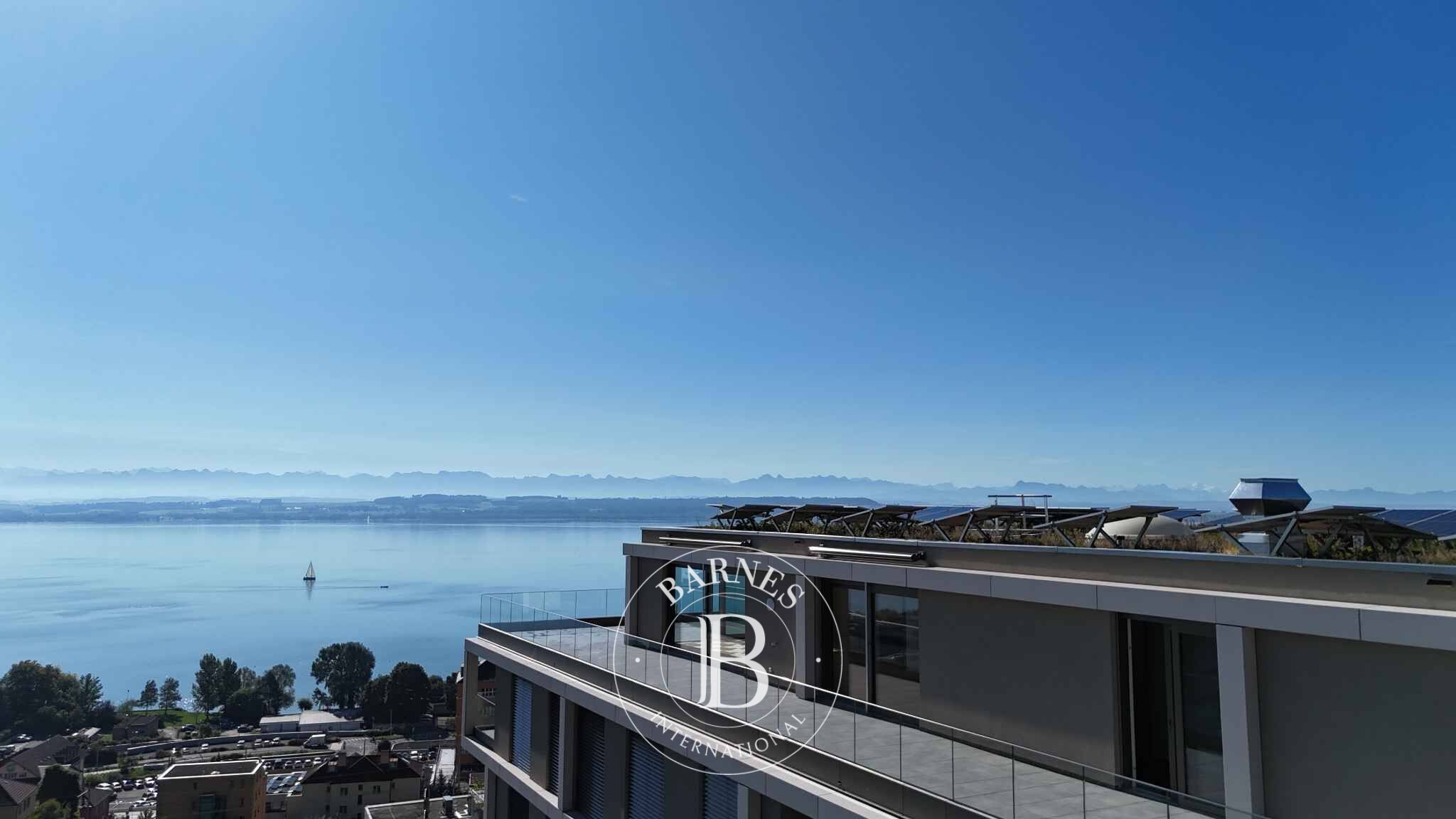 Attique d'exception de 3.5 pièces - picture 1