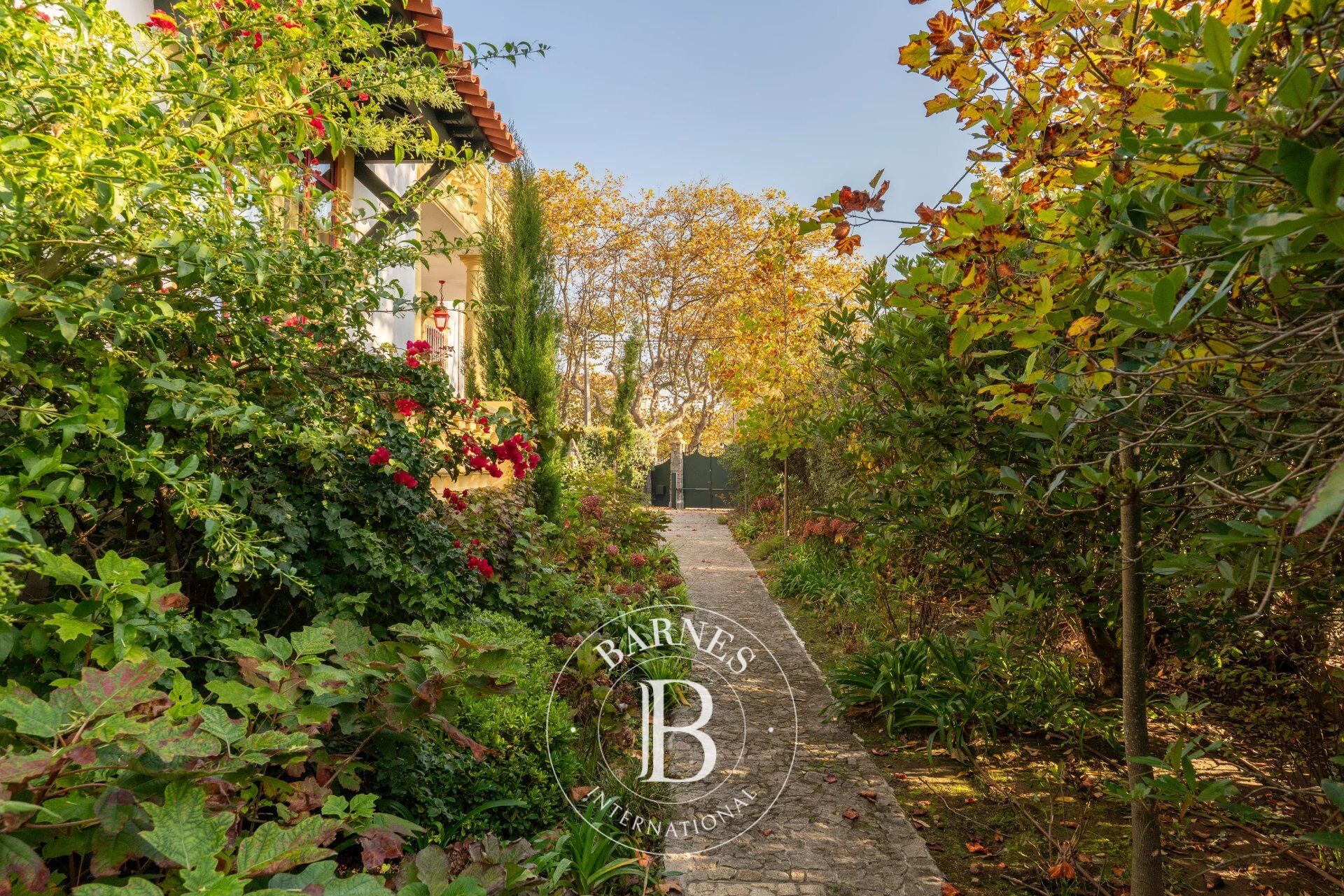 Élégance classique - picture 3