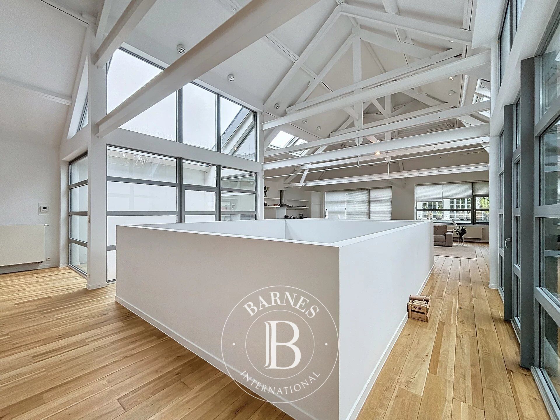 Ev Ixelles - picture 6