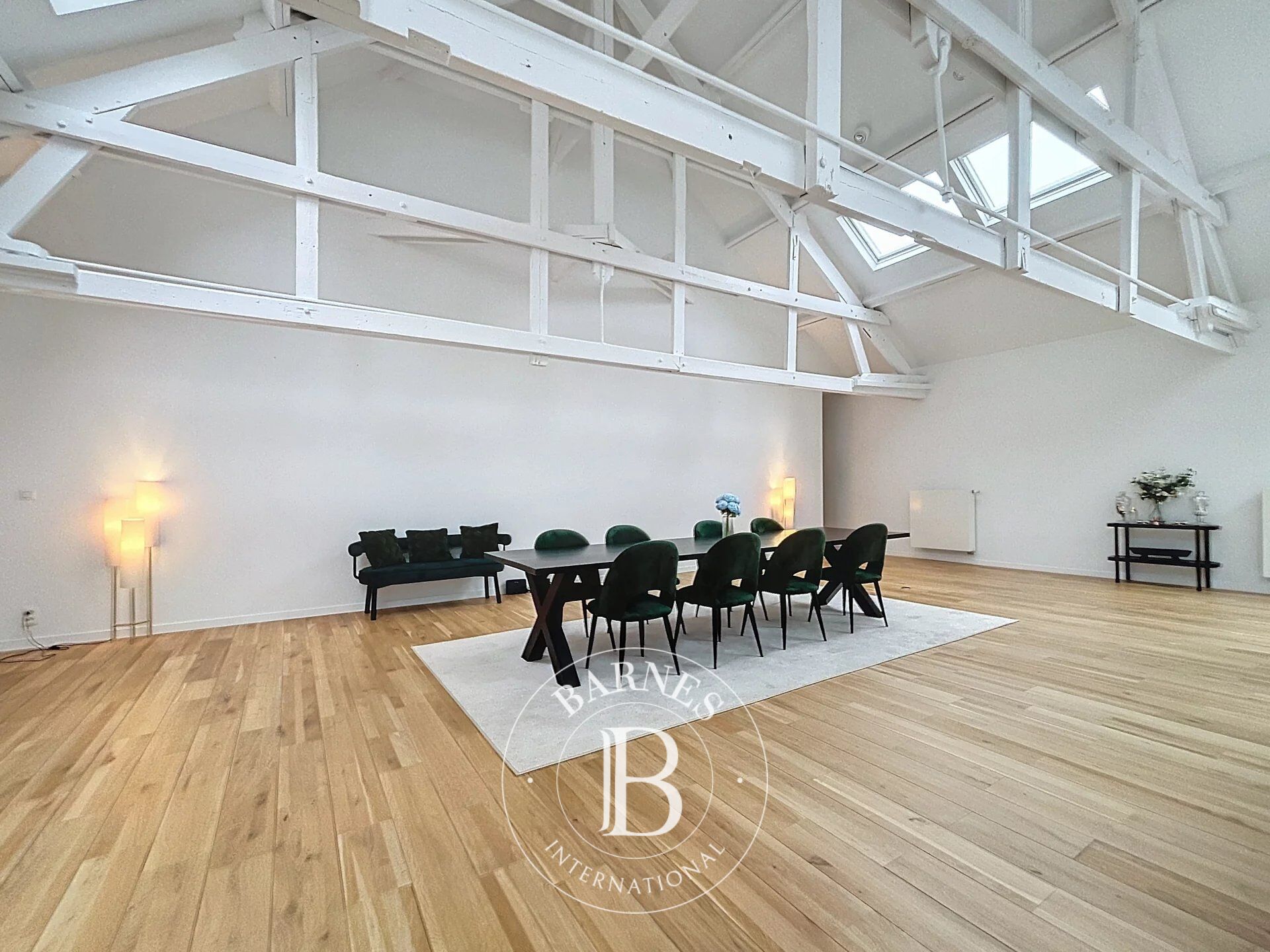 Ev Ixelles - picture 10