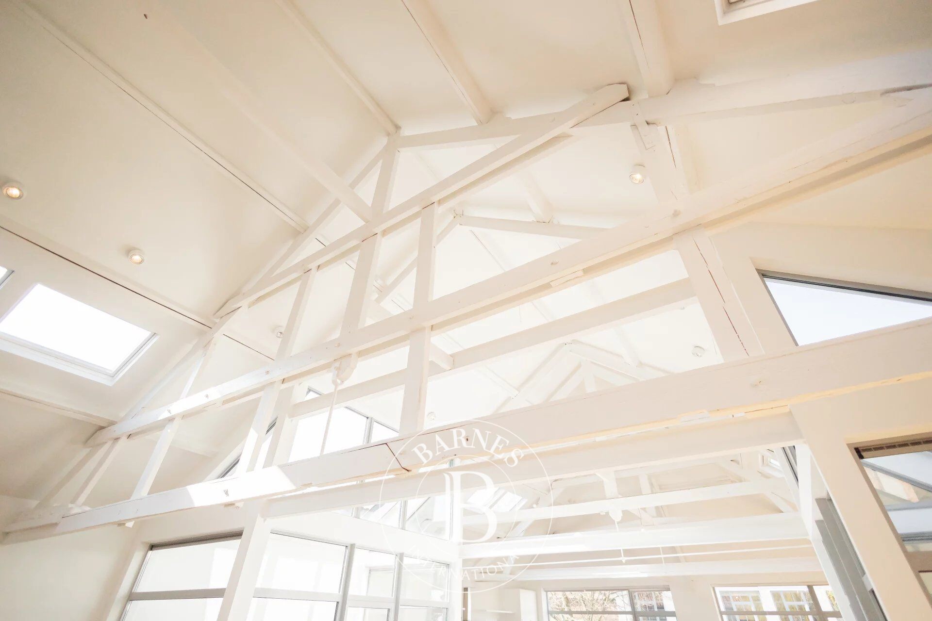 Ev Ixelles - picture 9