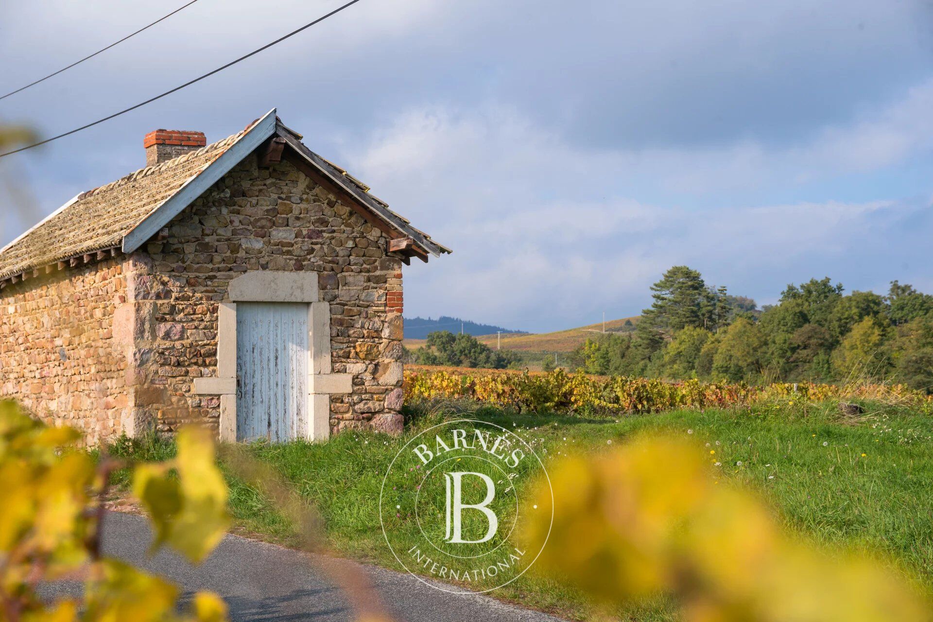 Ev Villié-Morgon - picture 6