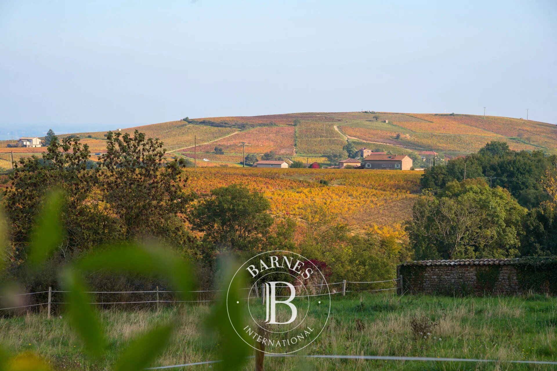 Ev Villié-Morgon - picture 14