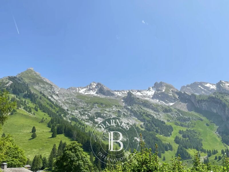 À vendre Terrain constructible | La Clusaz - picture 1