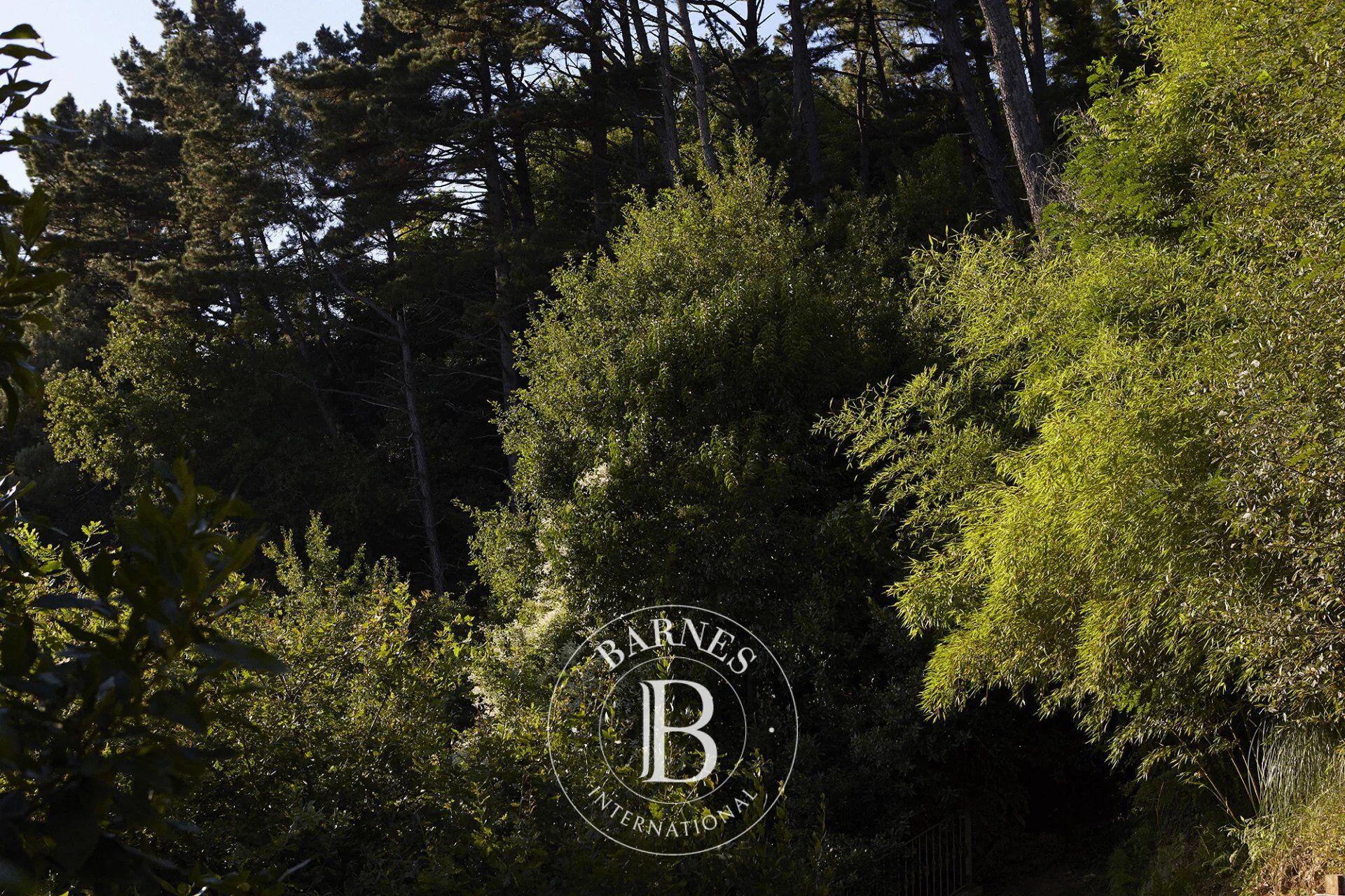 Ev San Sebastián - picture 20