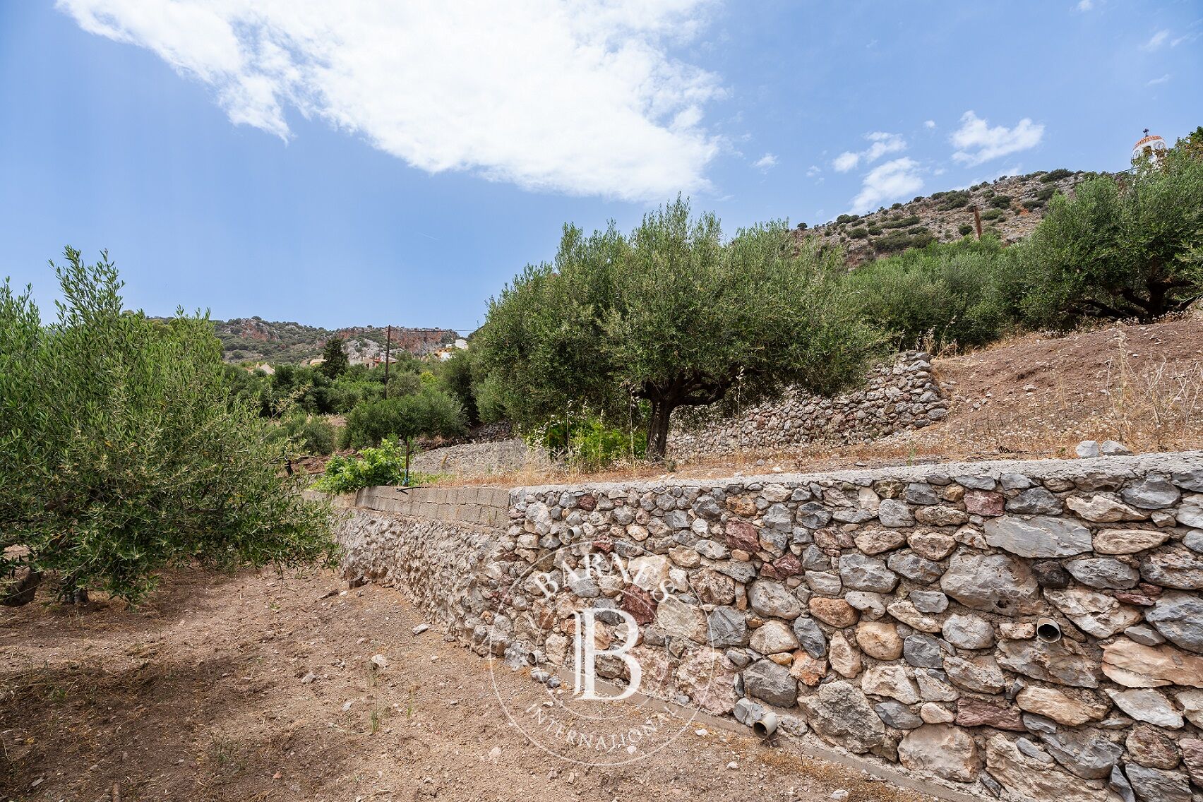 Zemin Lasithi - picture 5