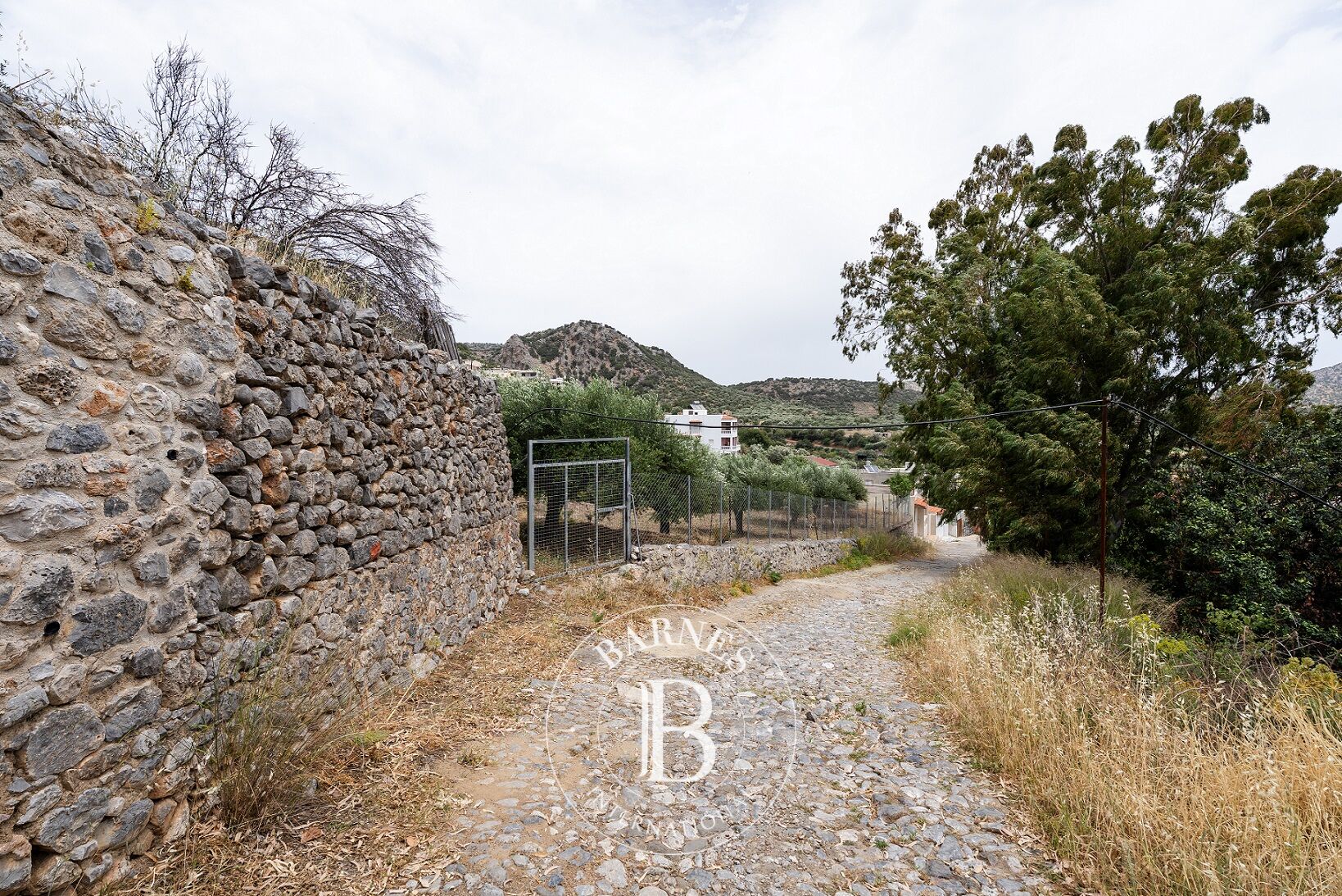 Zemin Lasithi - picture 4