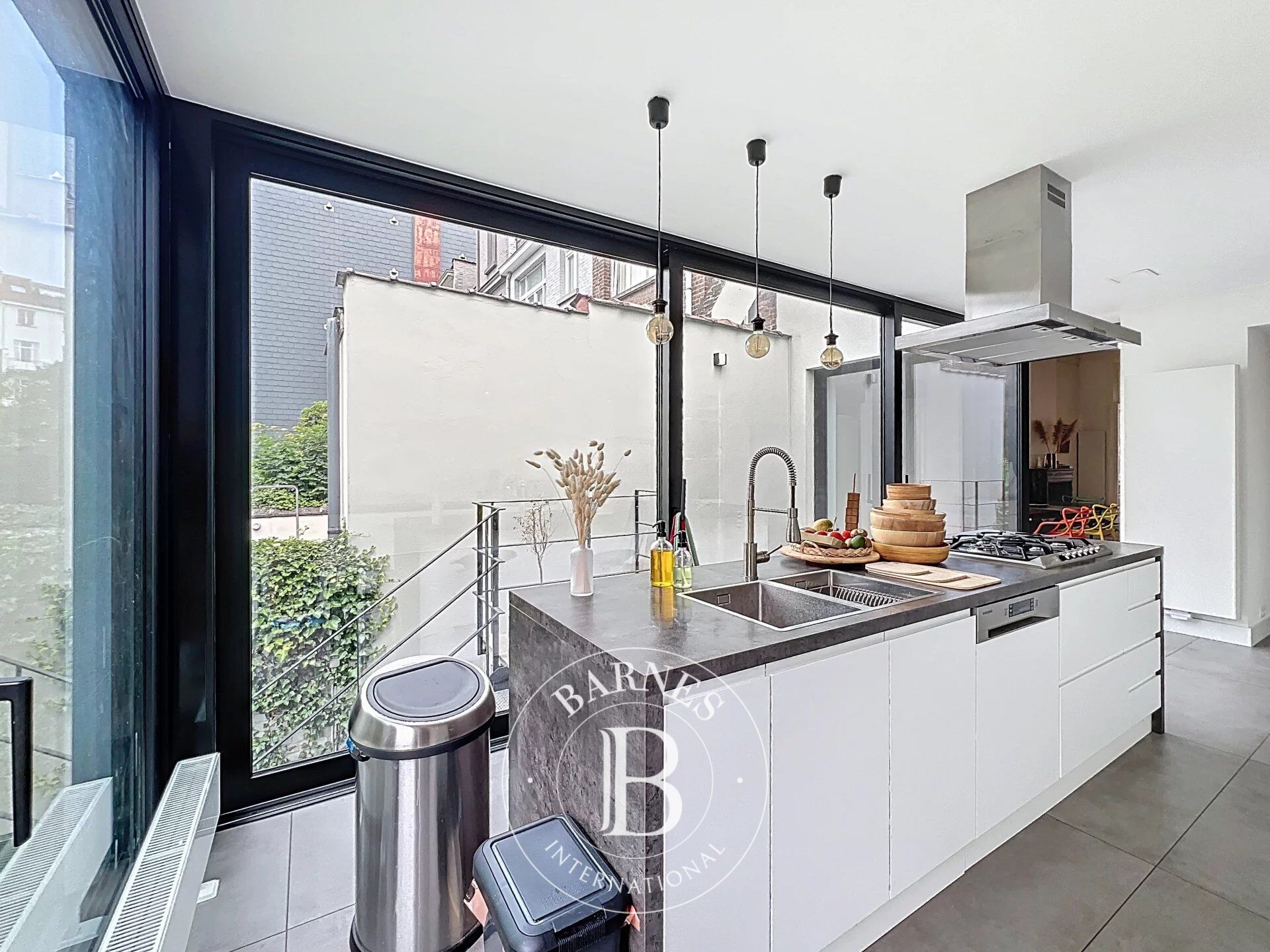 Ev Ixelles - picture 9