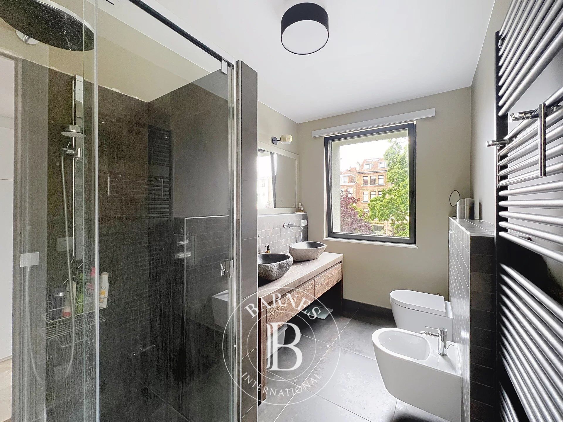 Ev Ixelles - picture 15