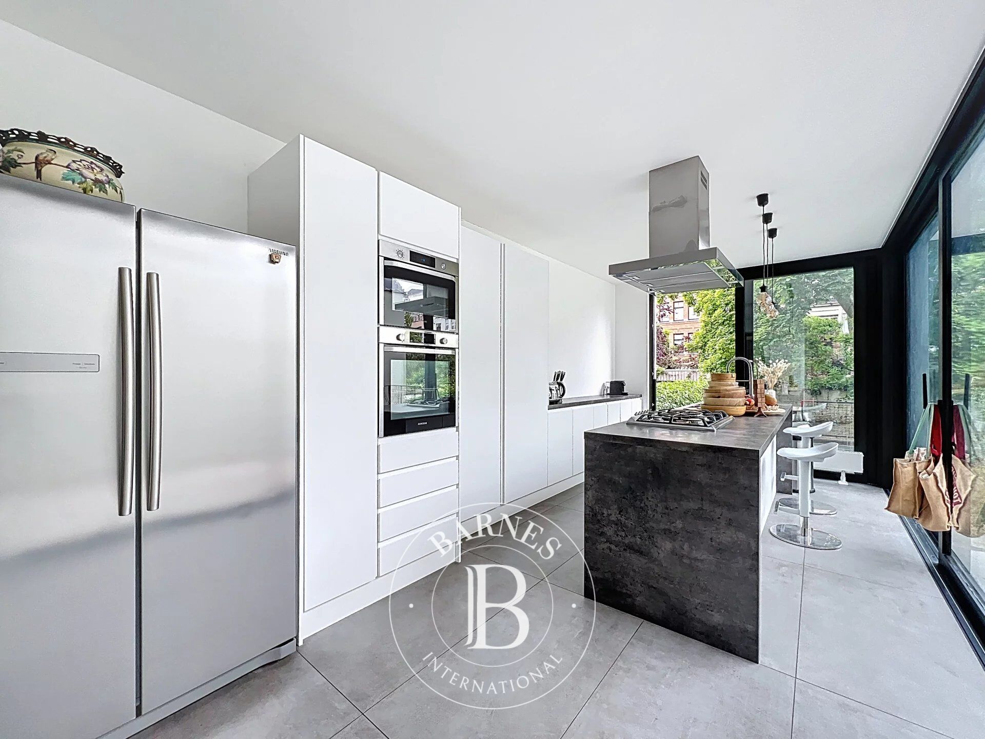 Ev Ixelles - picture 8