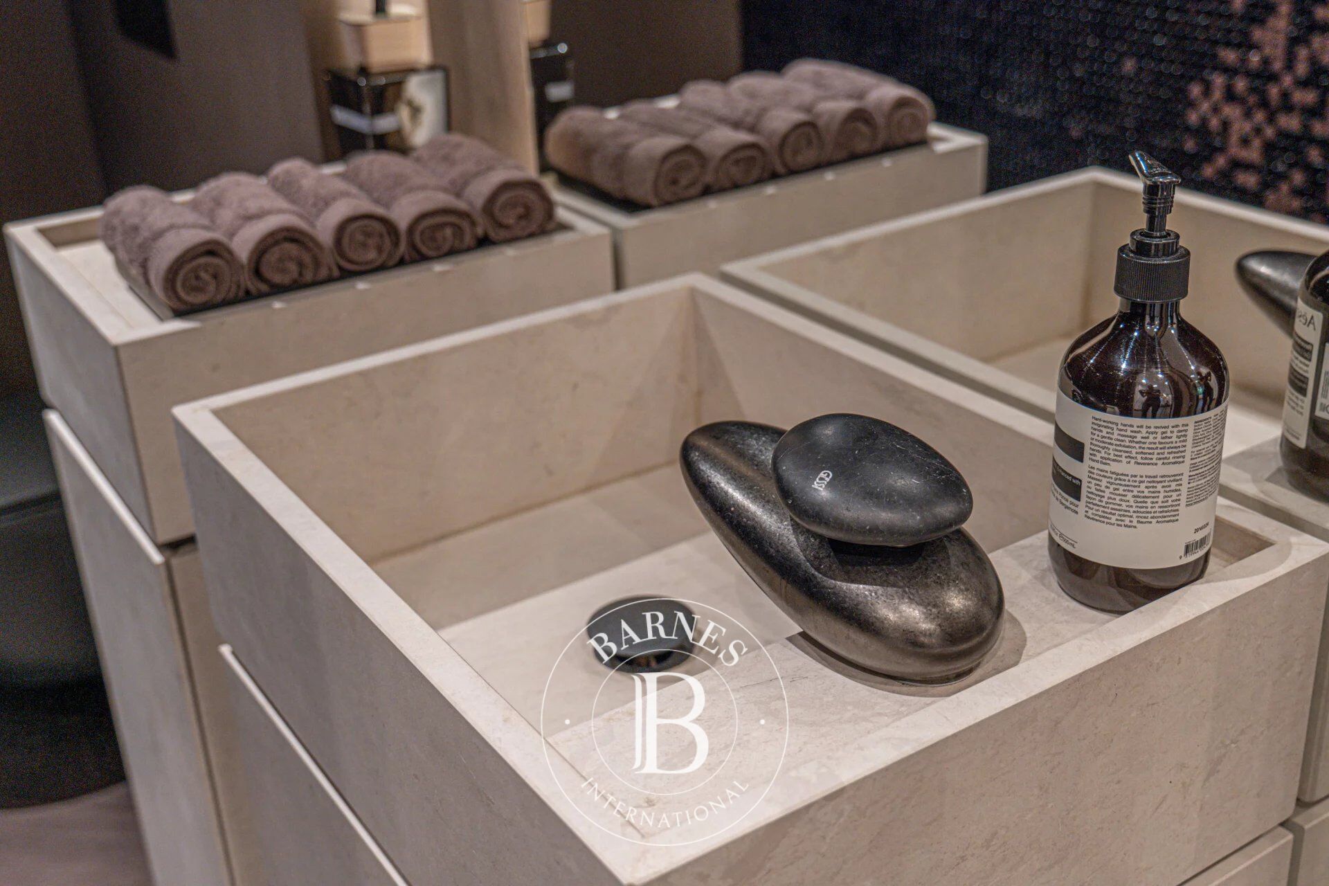 Ev Bistrica - picture 15