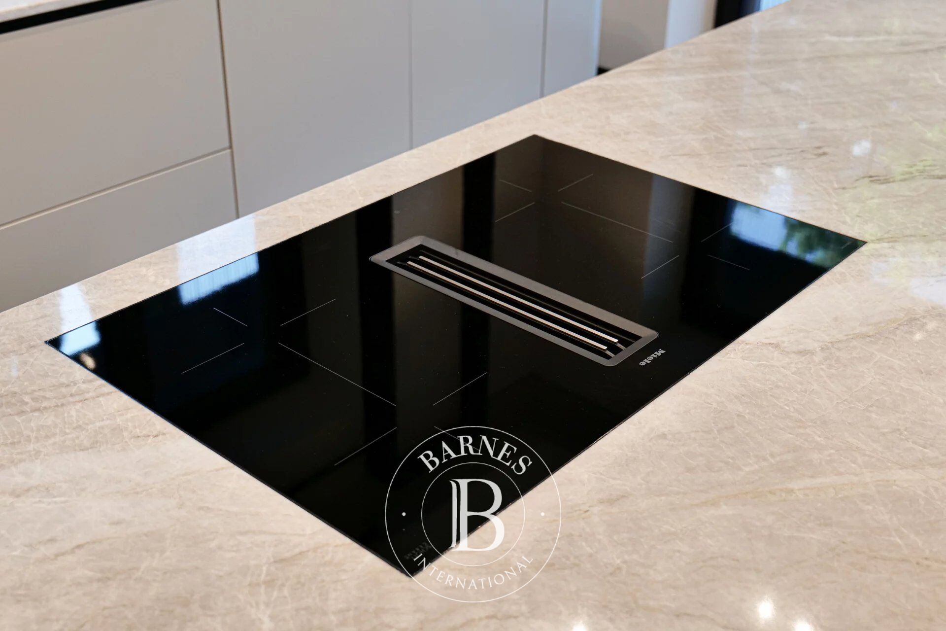 Ev Bistrica - picture 11